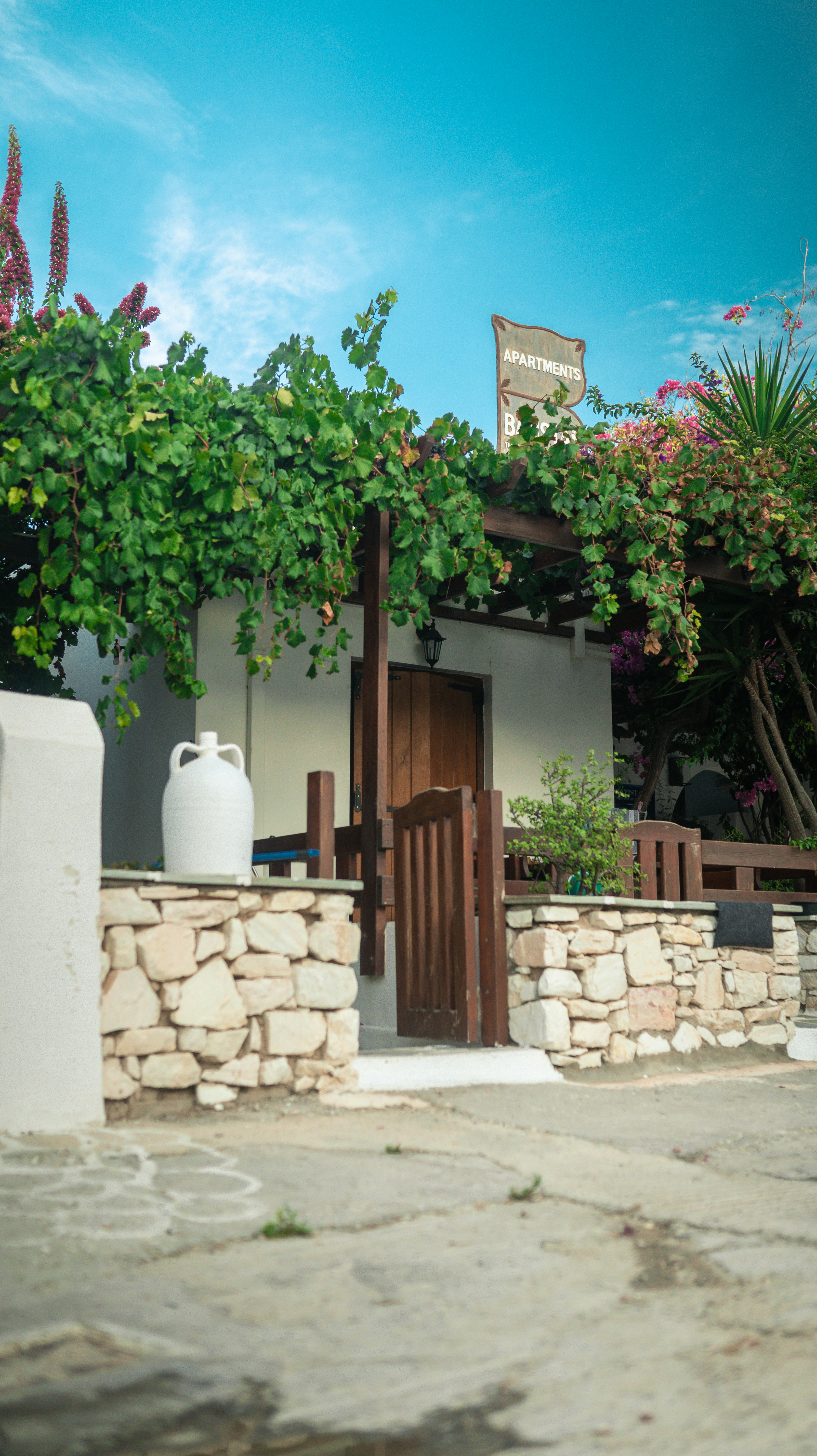 Photo by visualsbyroyalz