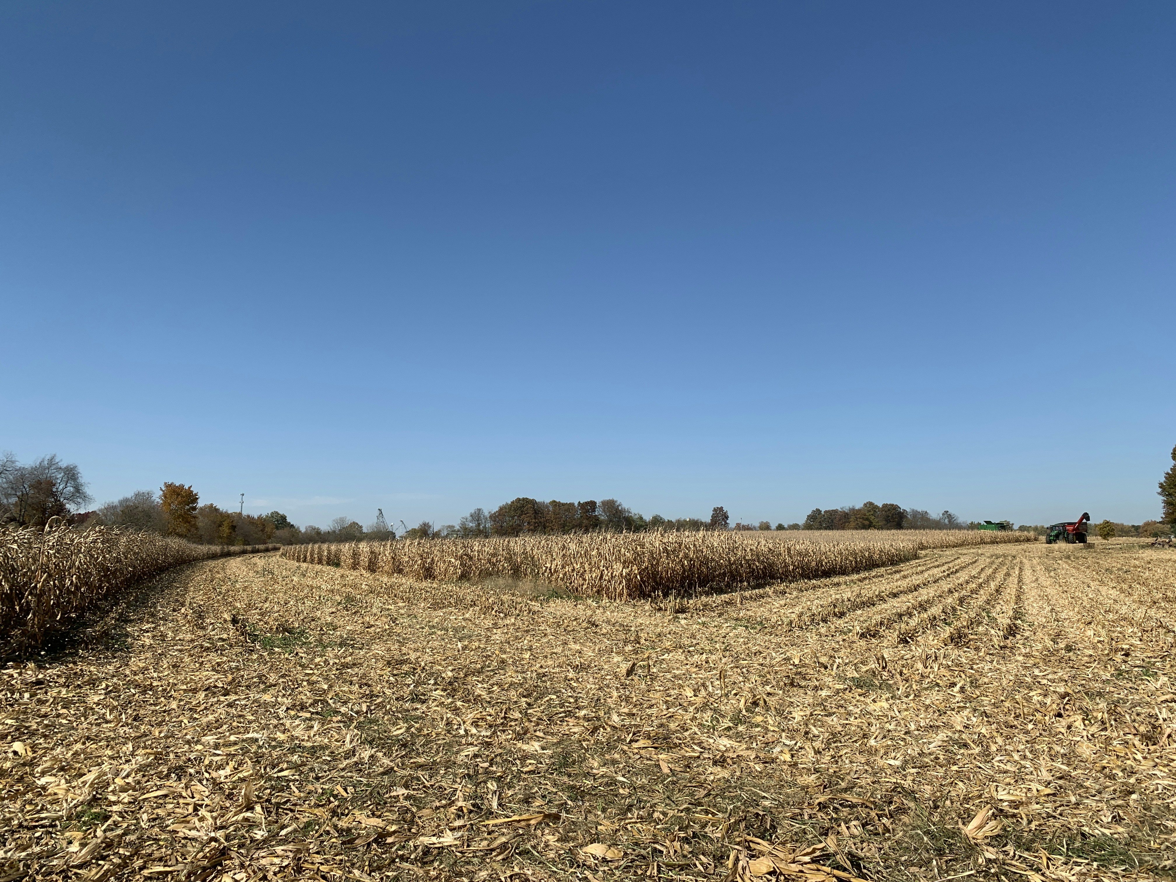 An Ohio cornfield with harvesting in progress.