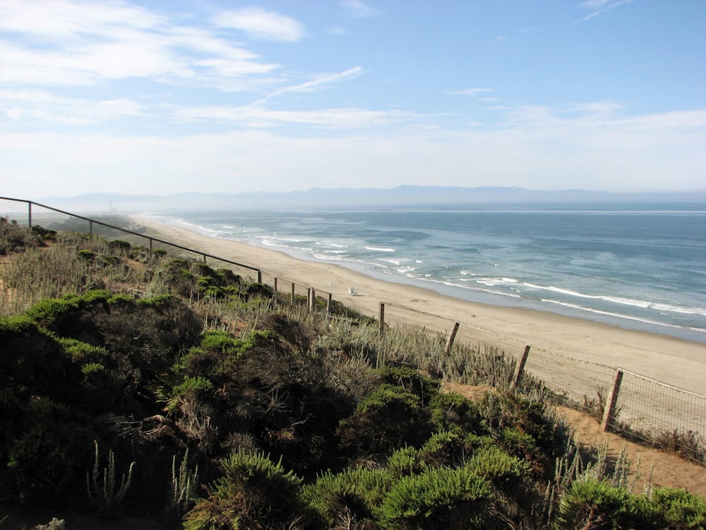 a beach with a fence and trees