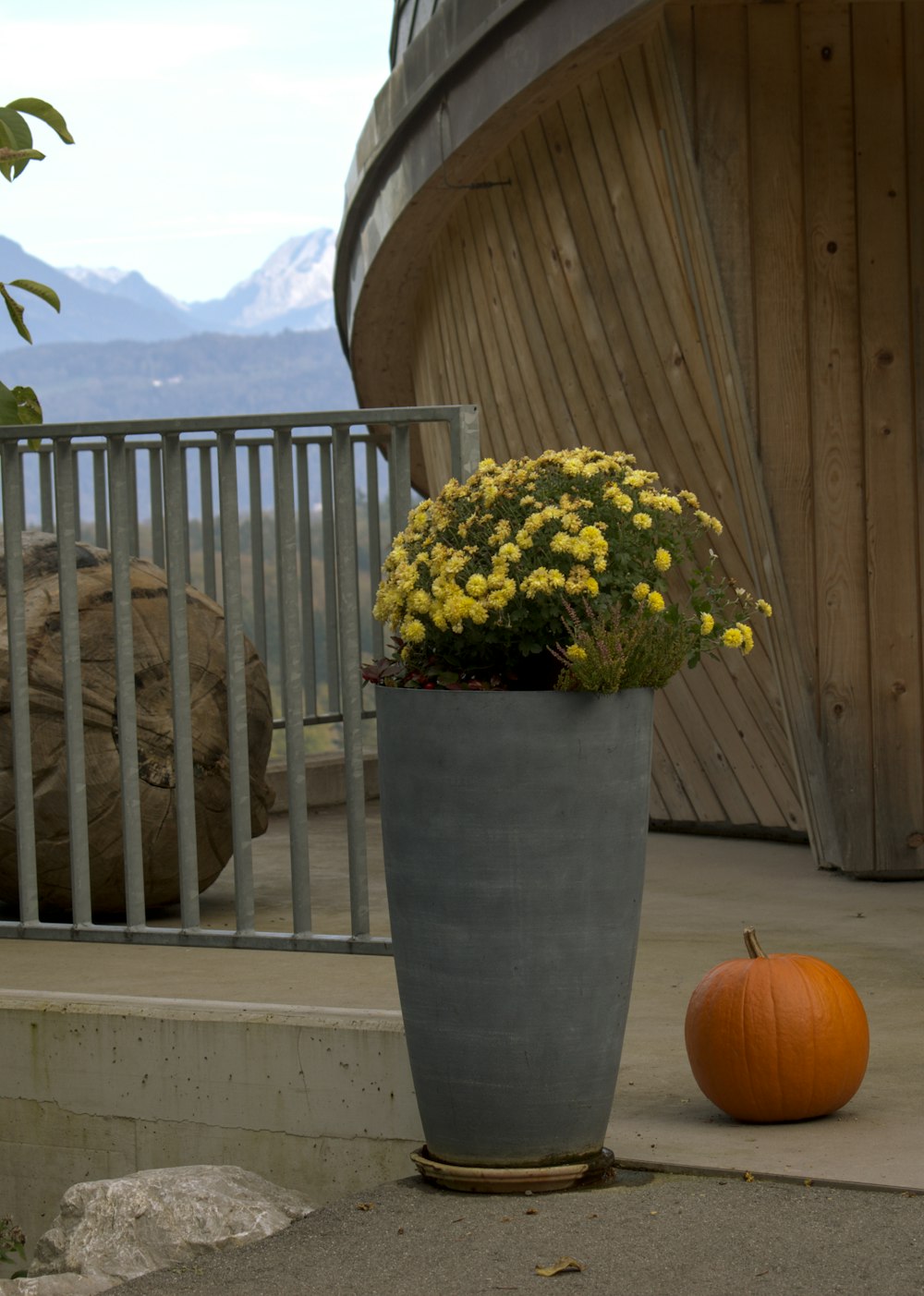 a vase with yellow flowers