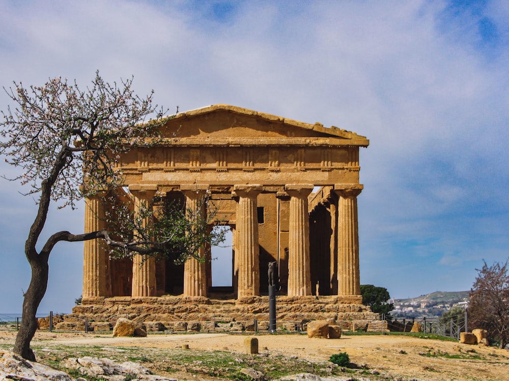Agrigento with a tree in front of it