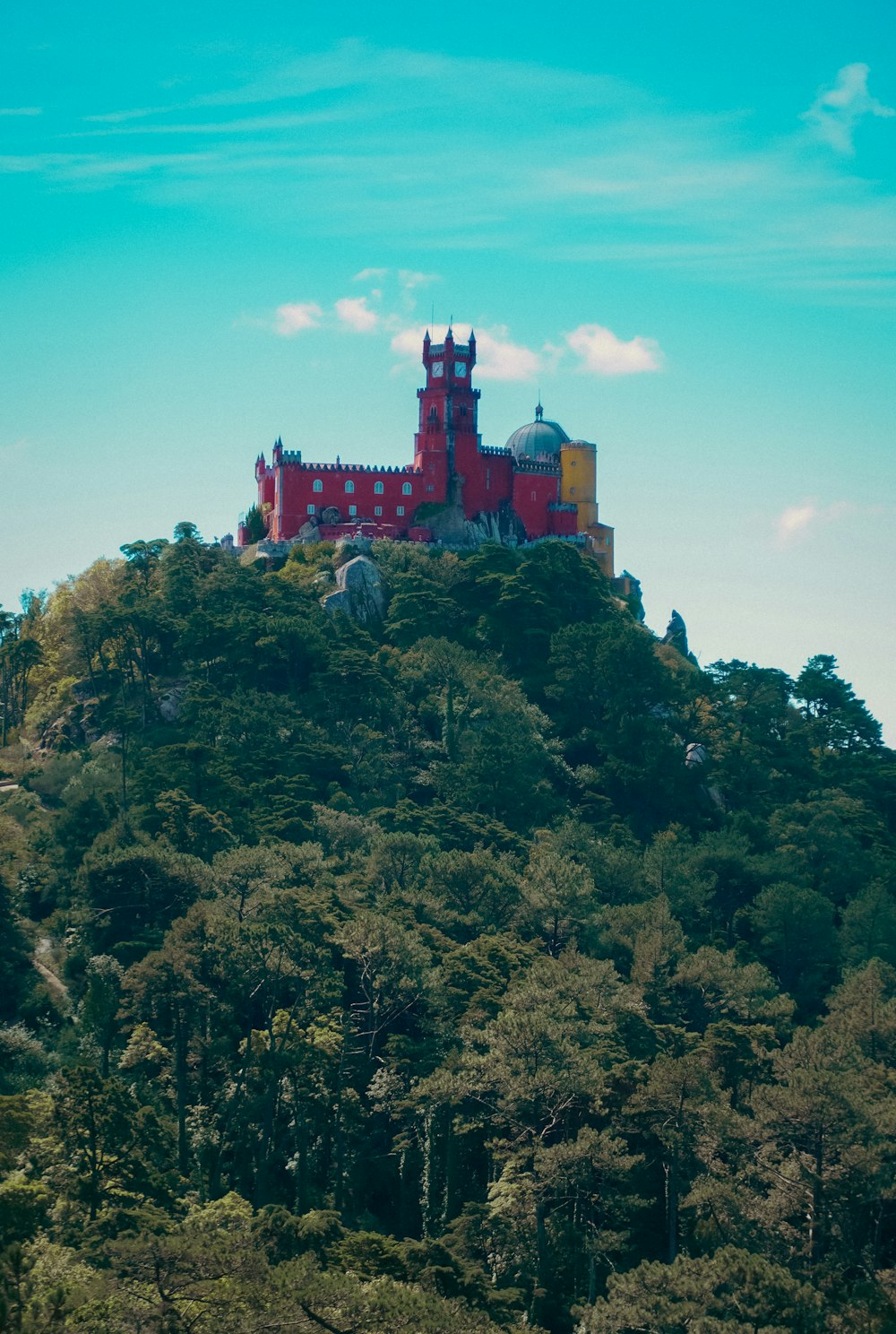 a castle on a hill