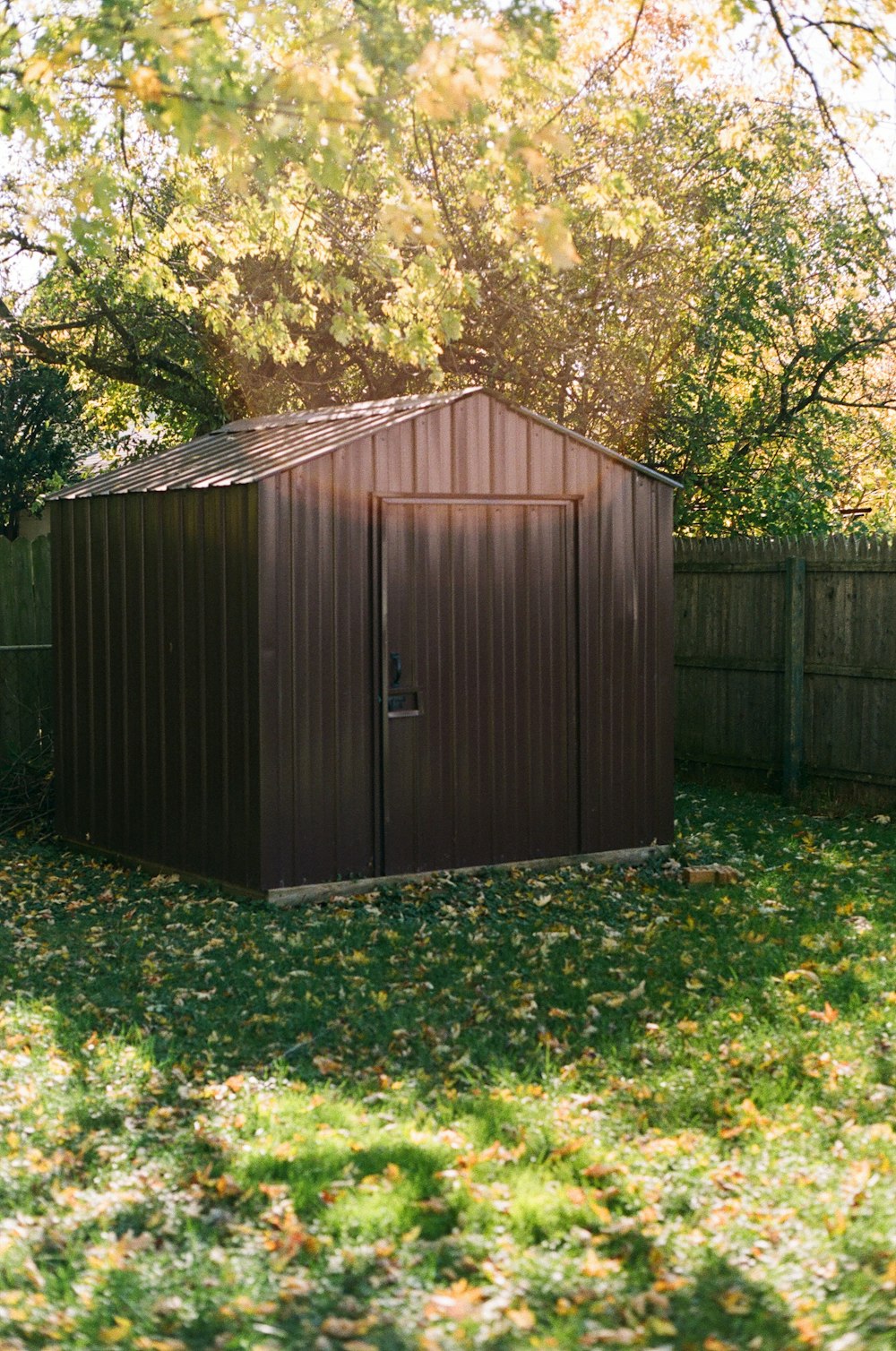 a shed in a yard