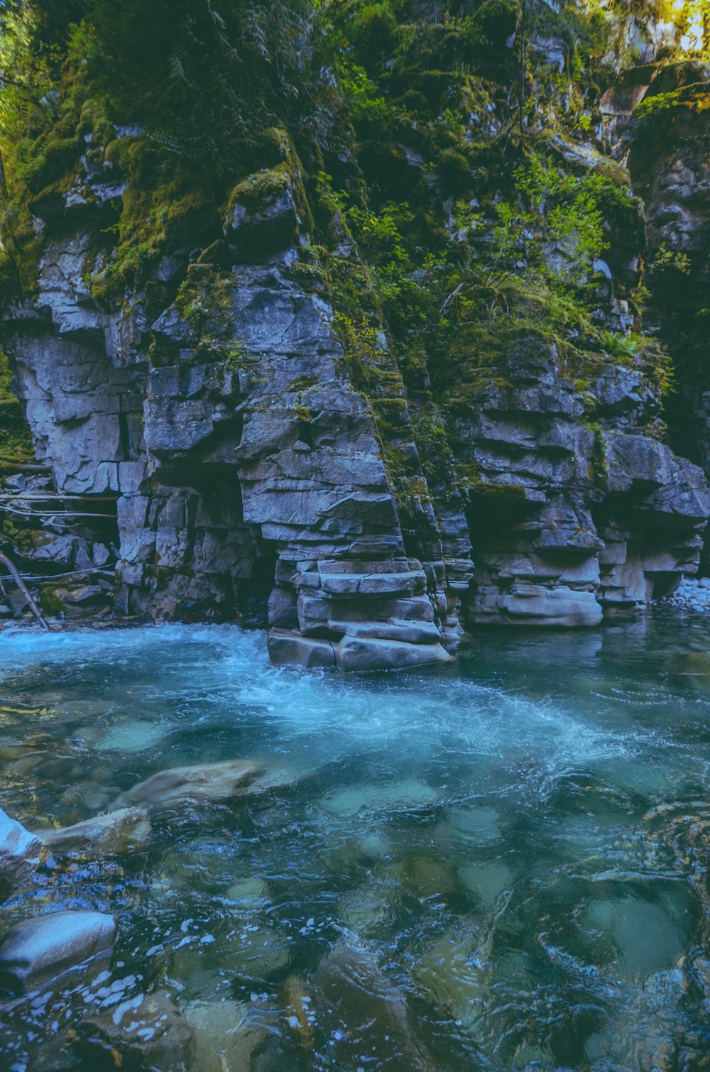 Un río con rocas y árboles