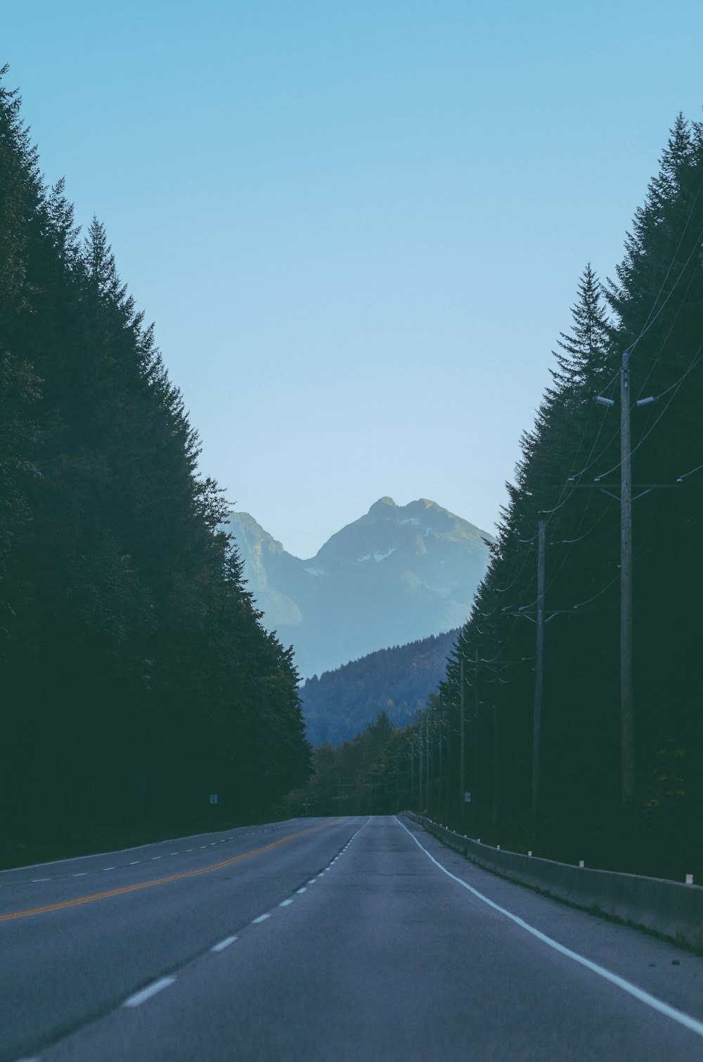 a road with trees and mountains in the background