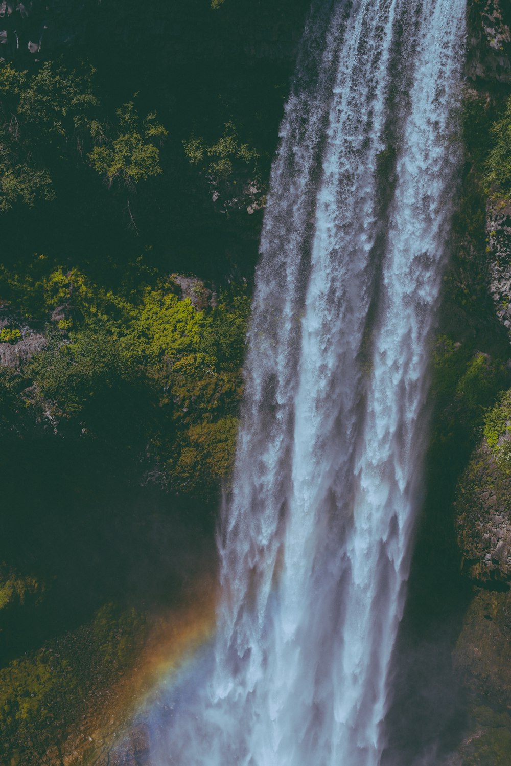 a waterfall with trees around it