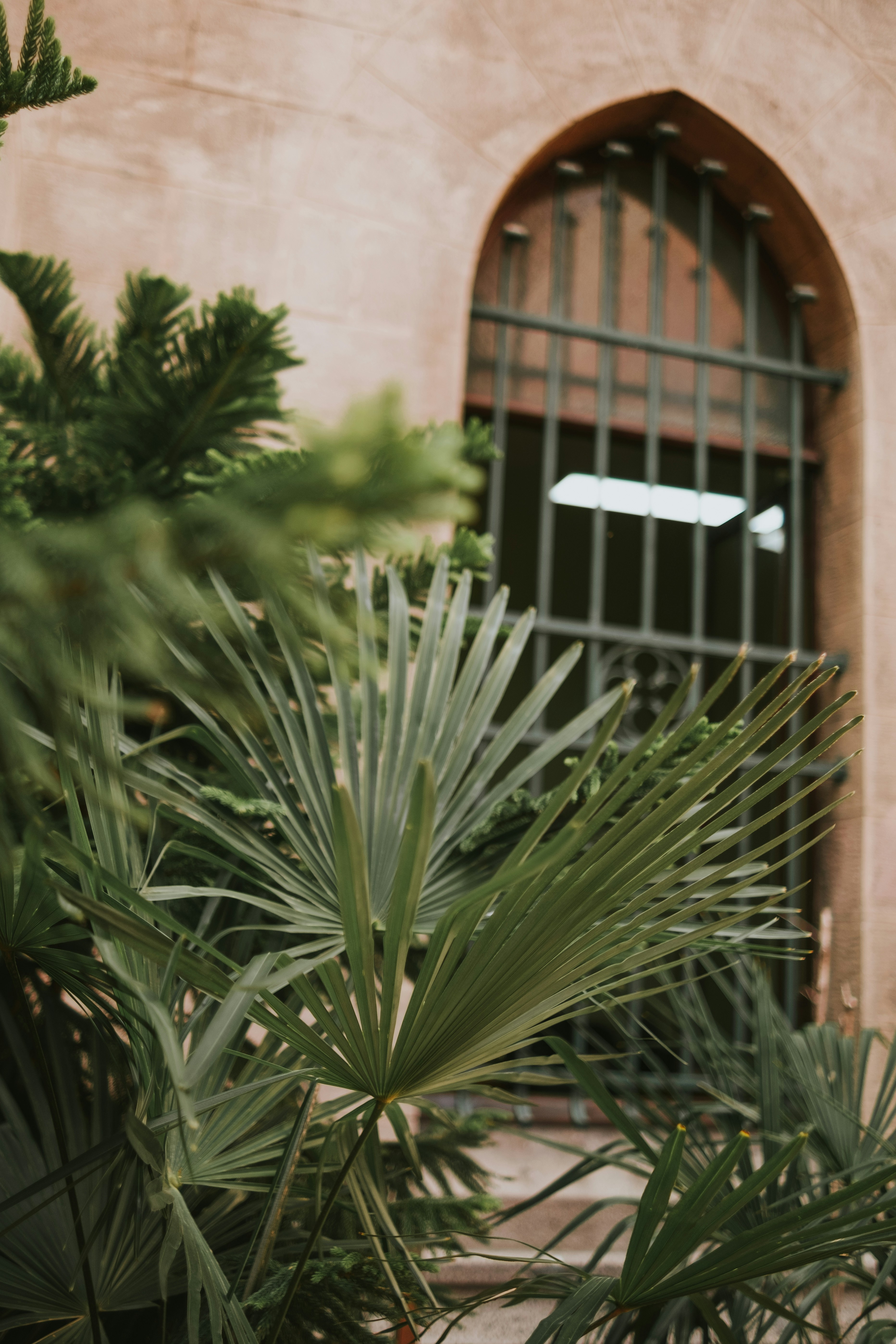 Photo by feyzayildirim