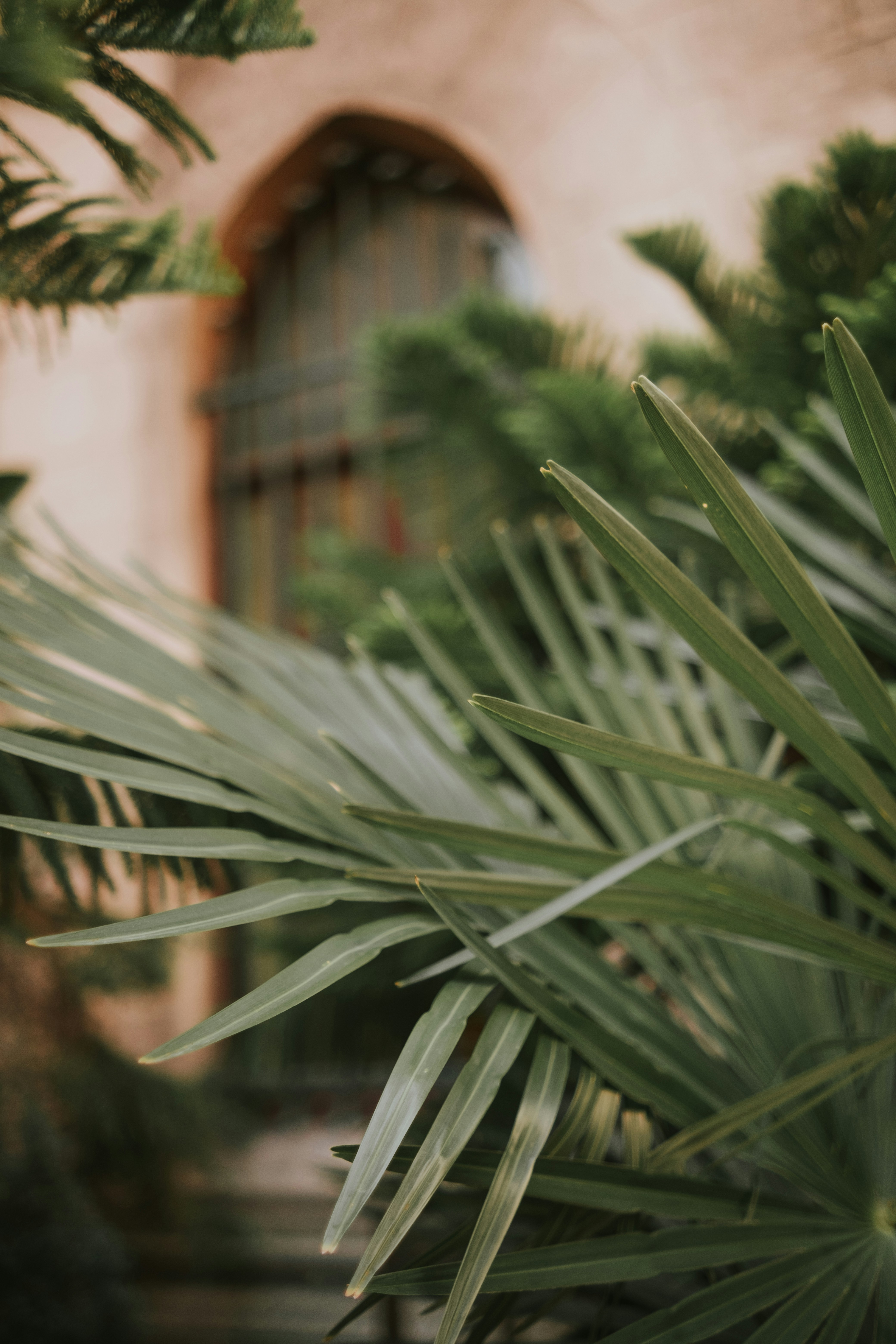 Photo by feyzayildirim