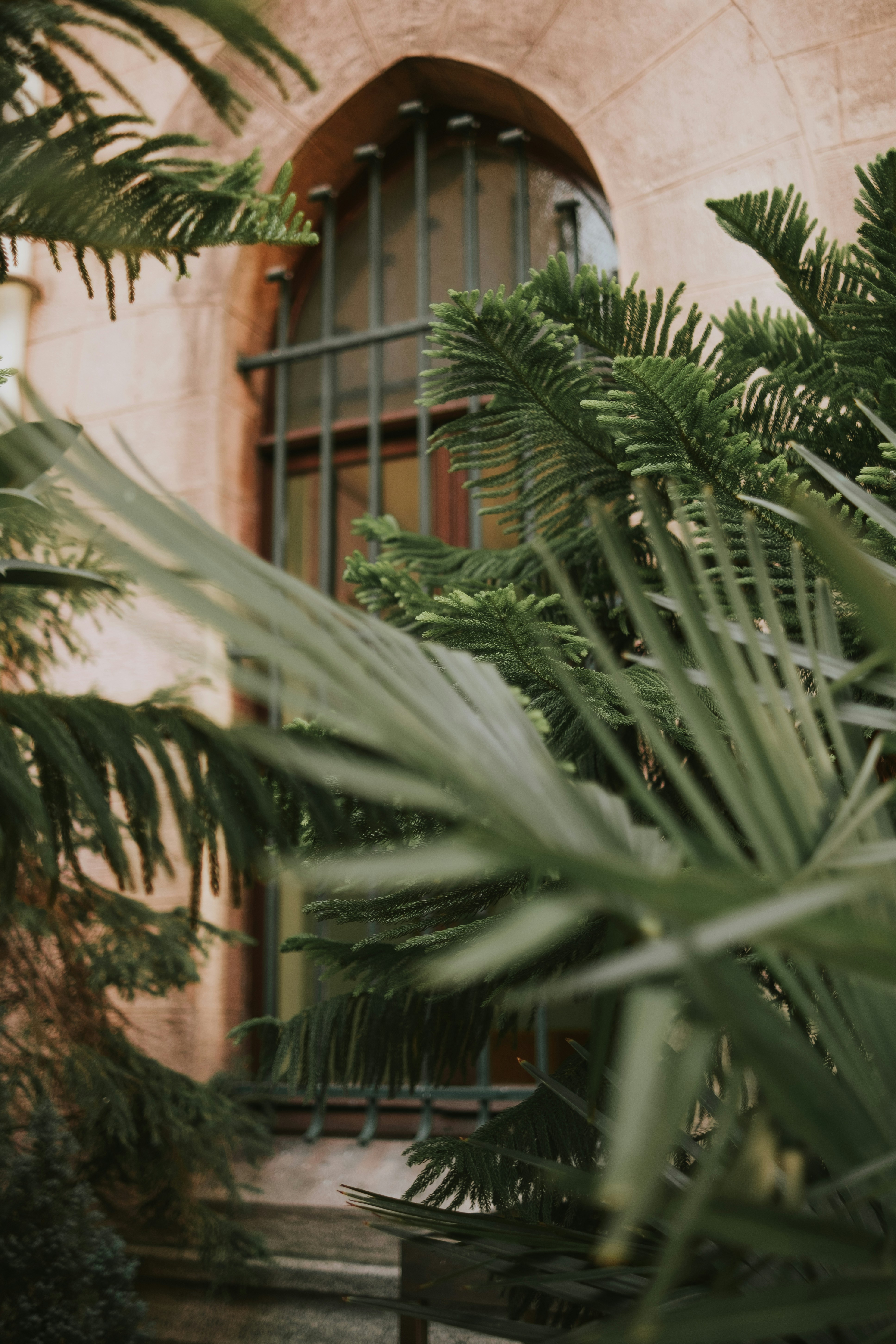 Photo by feyzayildirim