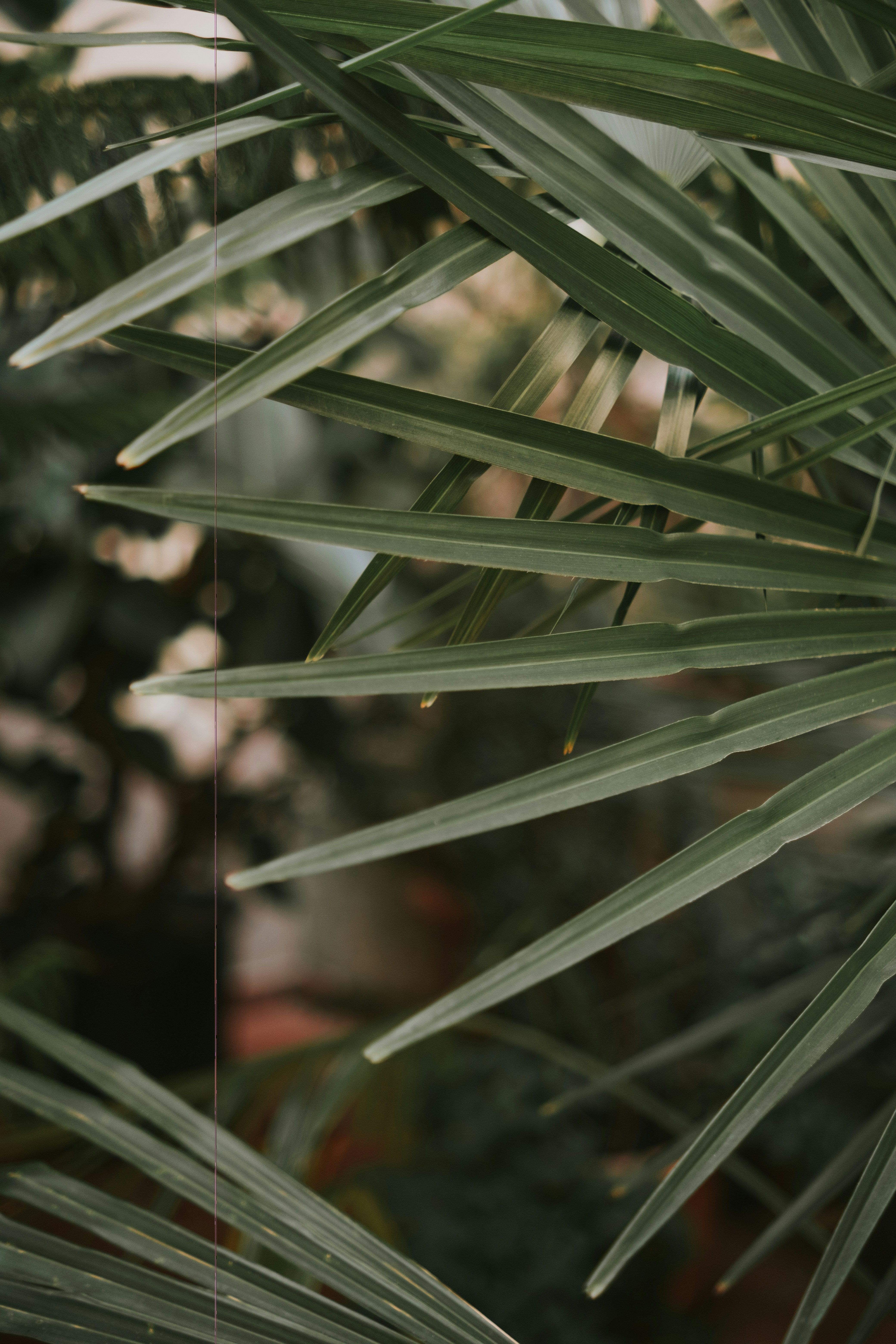 Photo by feyzayildirim