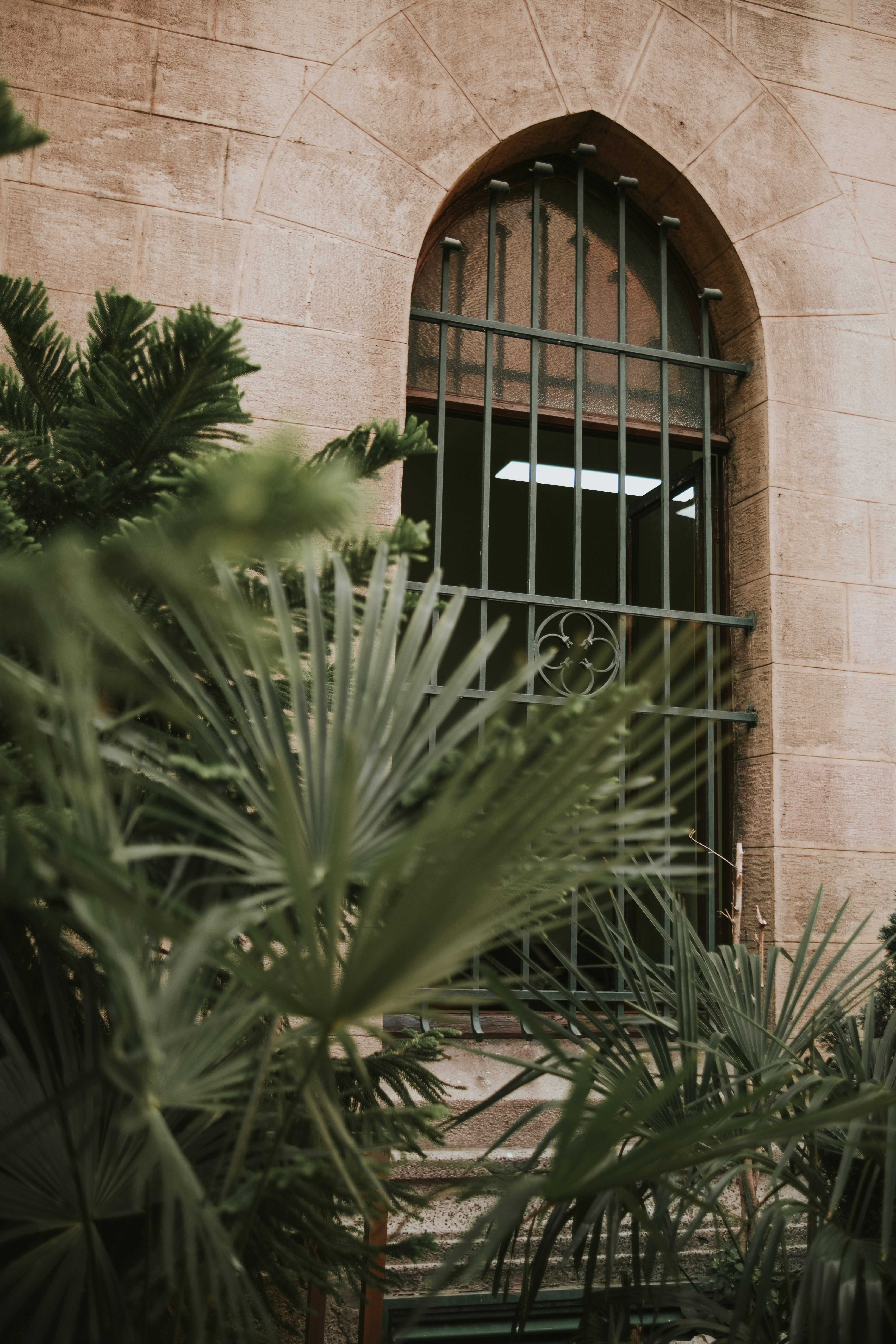 Photo by feyzayildirim