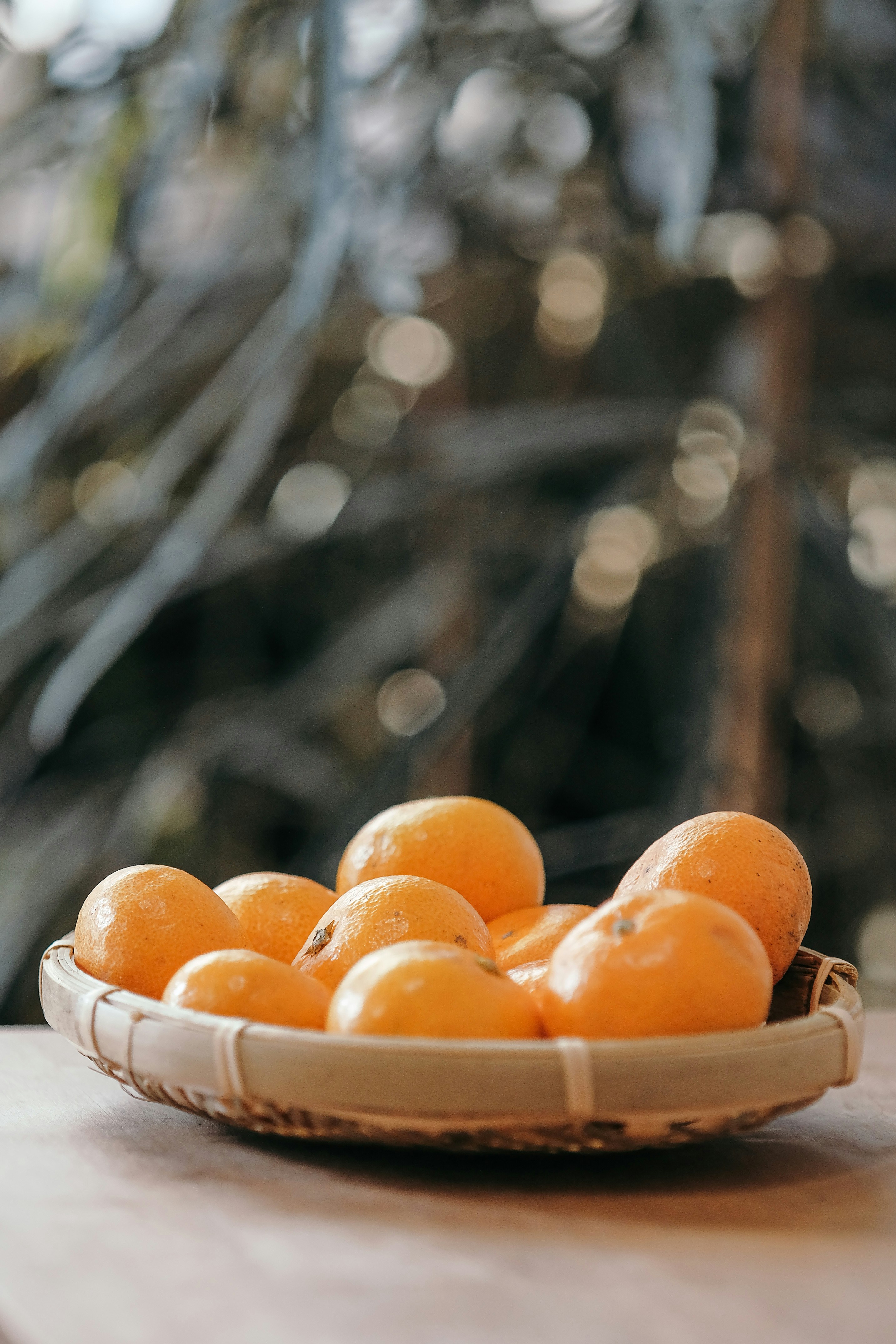 Photo by insungpandora