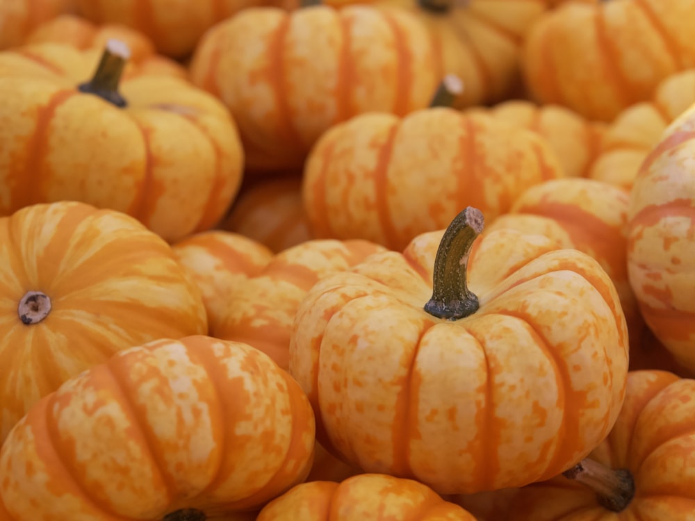 a pile of orange pumpkins