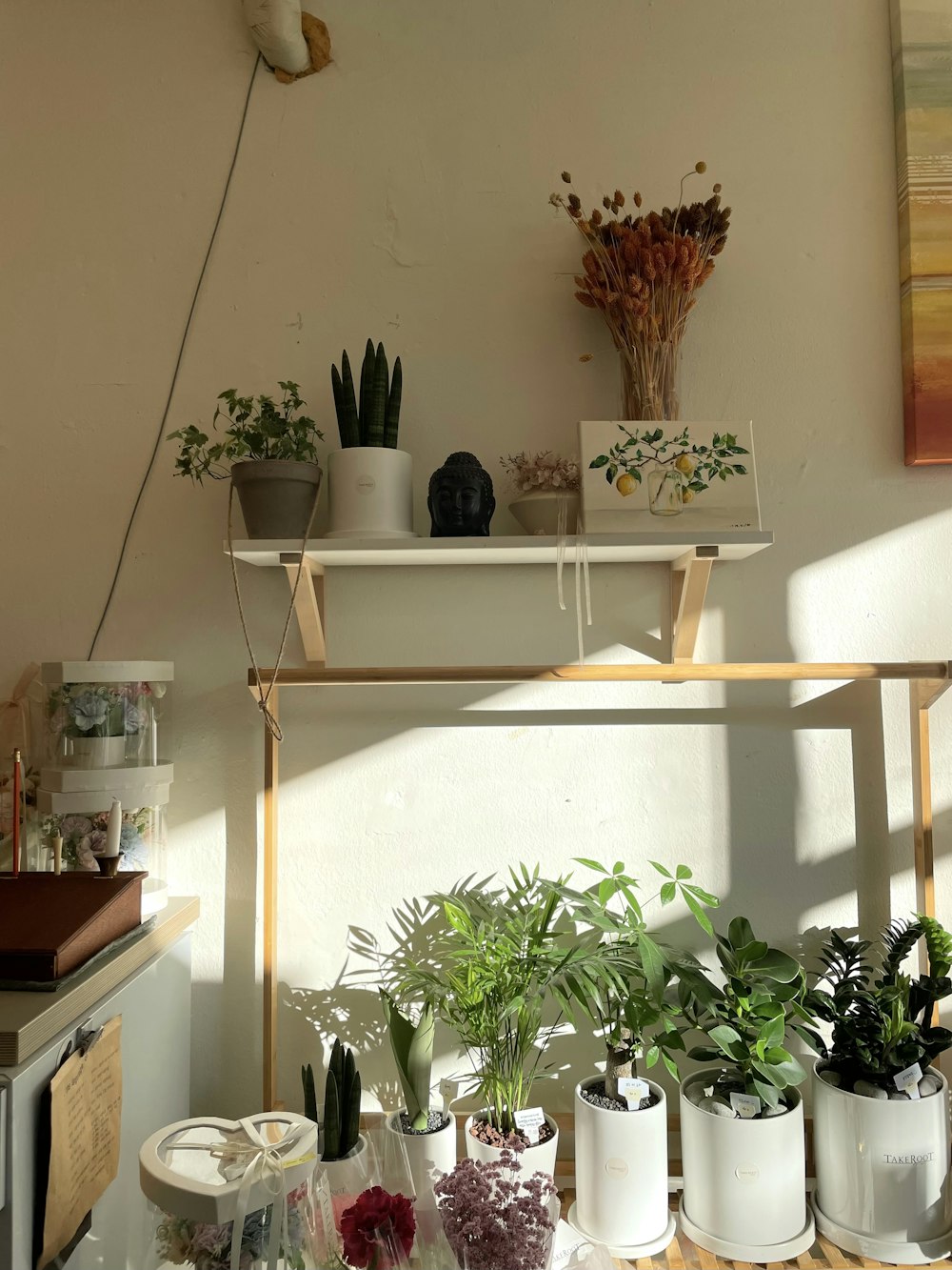 a shelf with plants on it