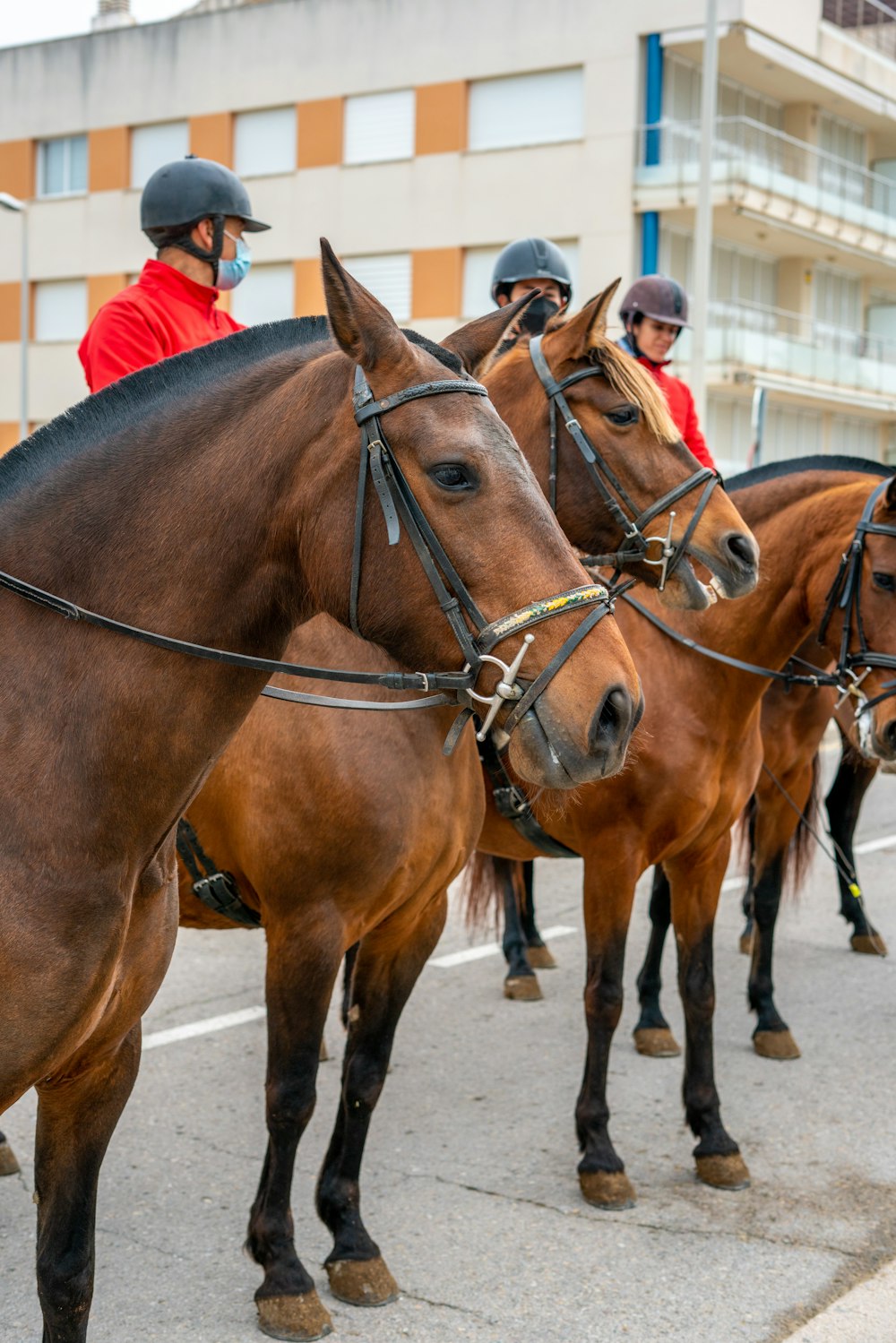 a group of people riding horses