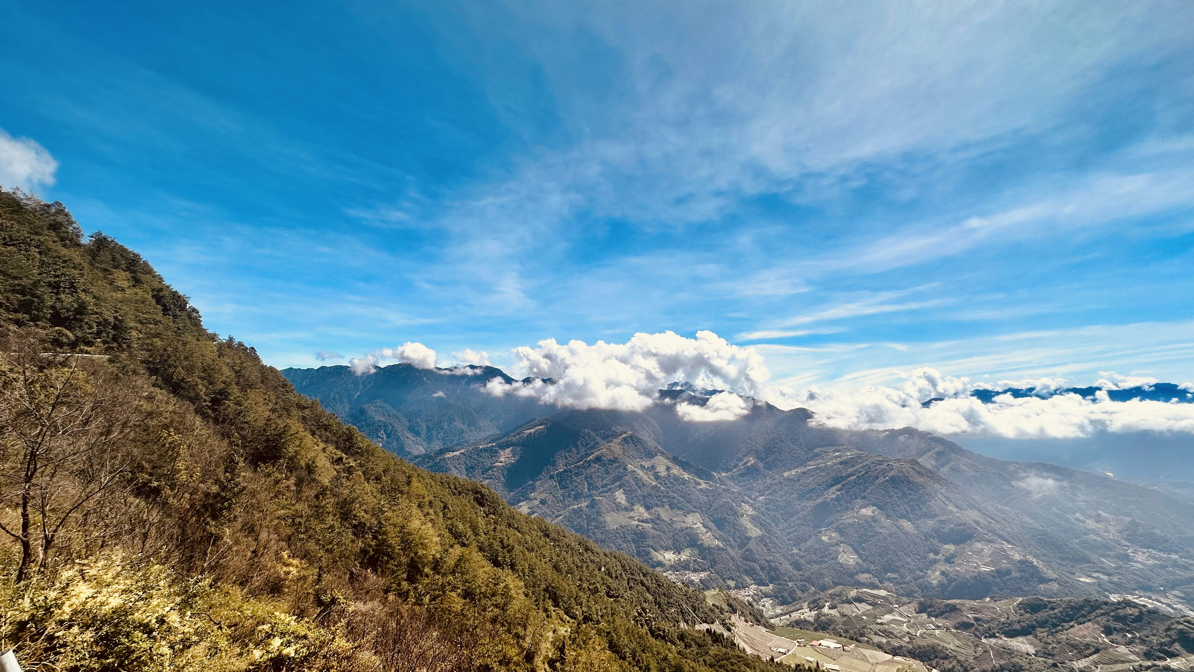 Photo by zhouyudesign