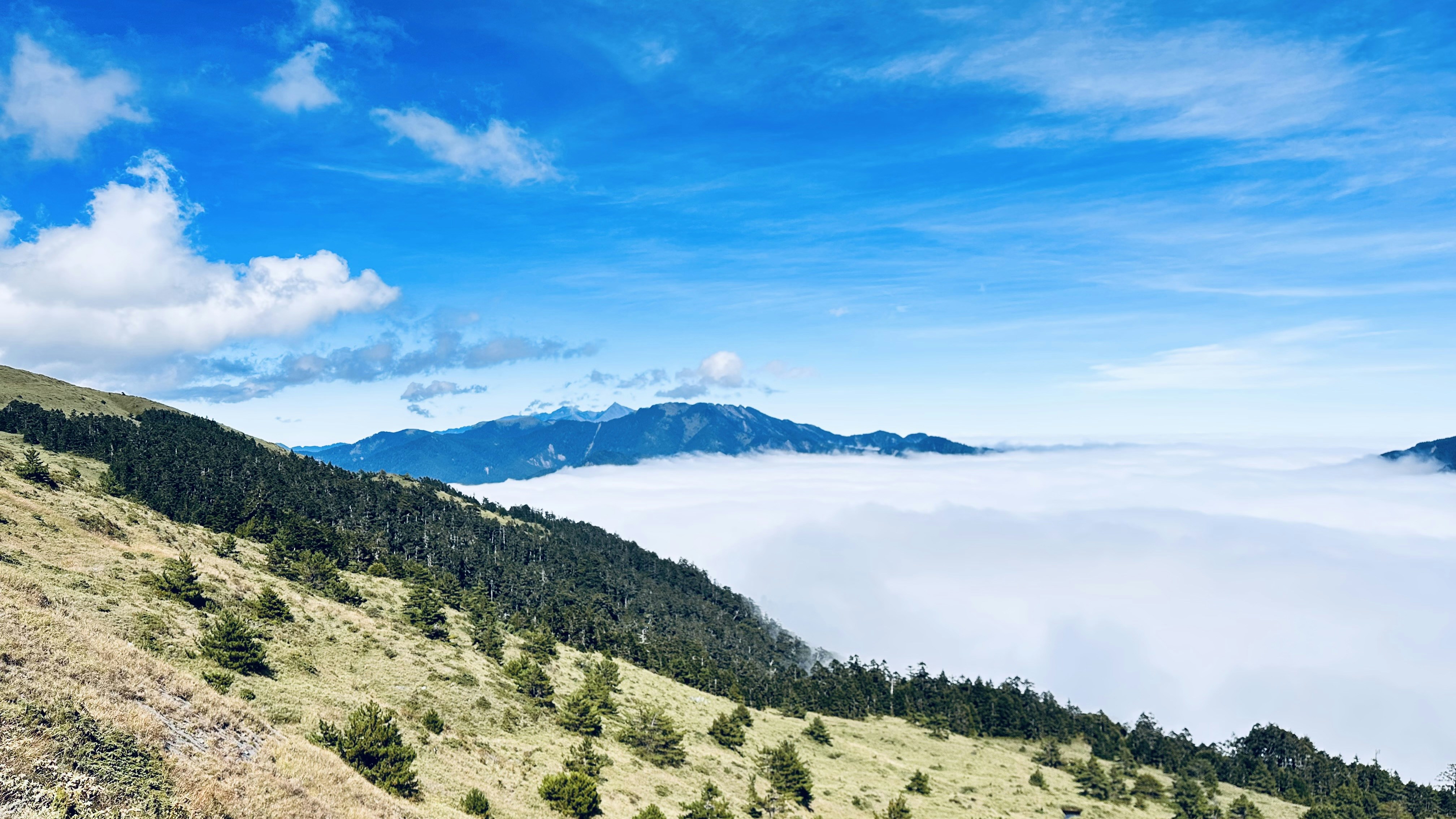 Photo by zhouyudesign