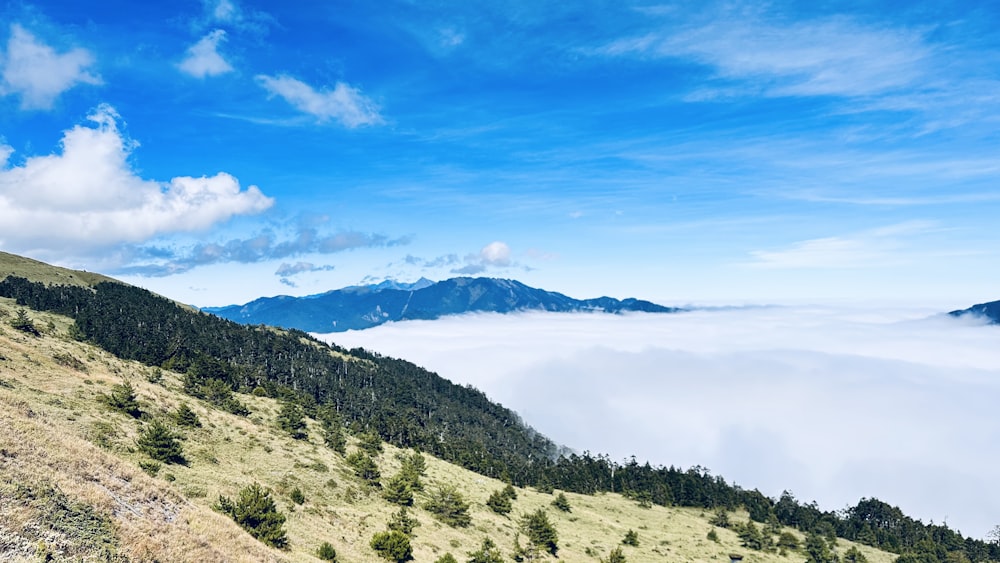 a landscape with hills and trees