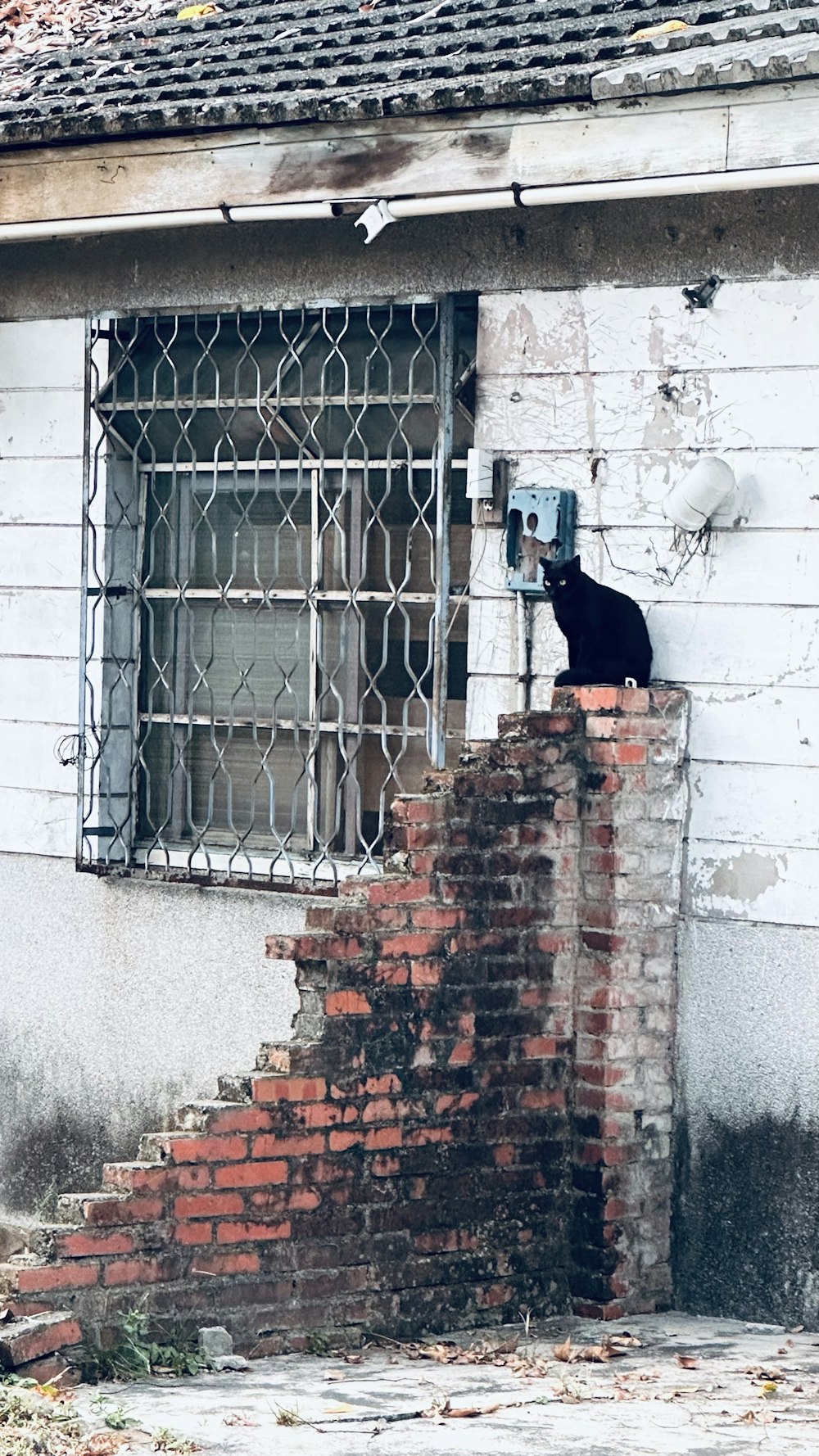 a cat sitting on a window sill