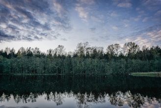 A serene landscape featuring a calm river reflecting a line of tall, dense trees. The sky above is partly cloudy with soft shades of blue and gray, creating a harmonious balance between the forest and the sky. The scene conveys a sense of tranquility and natural beauty.