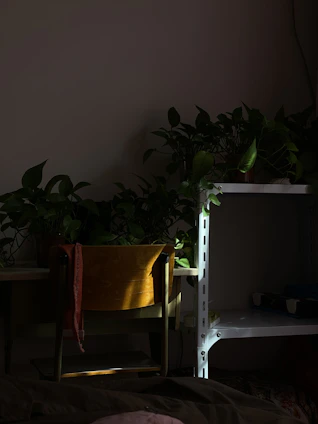 A serene, softly lit room with a comfortable chair and a small plant, evoking calm and safety.