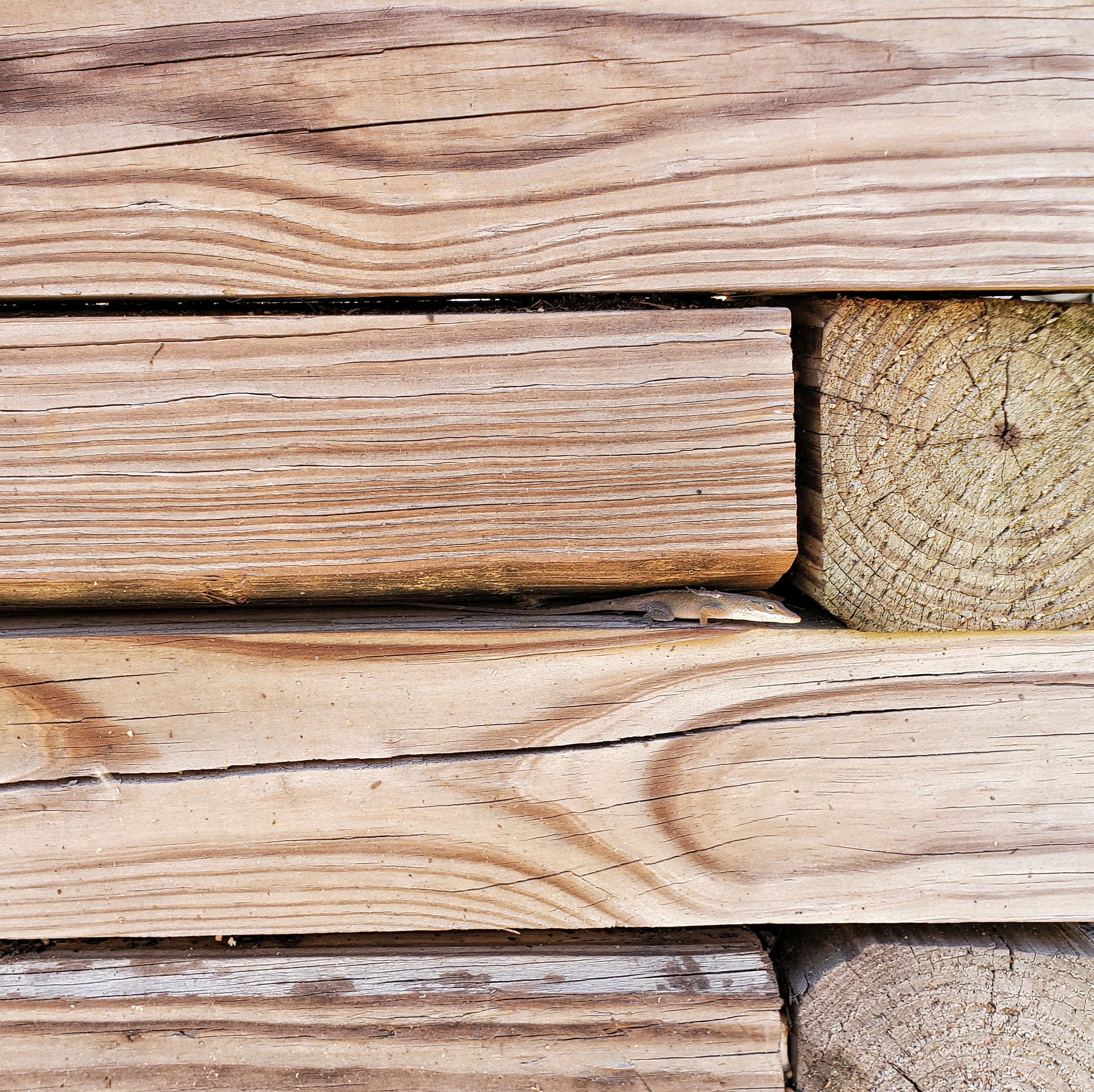 Expertly repaired and restored wooden furniture.