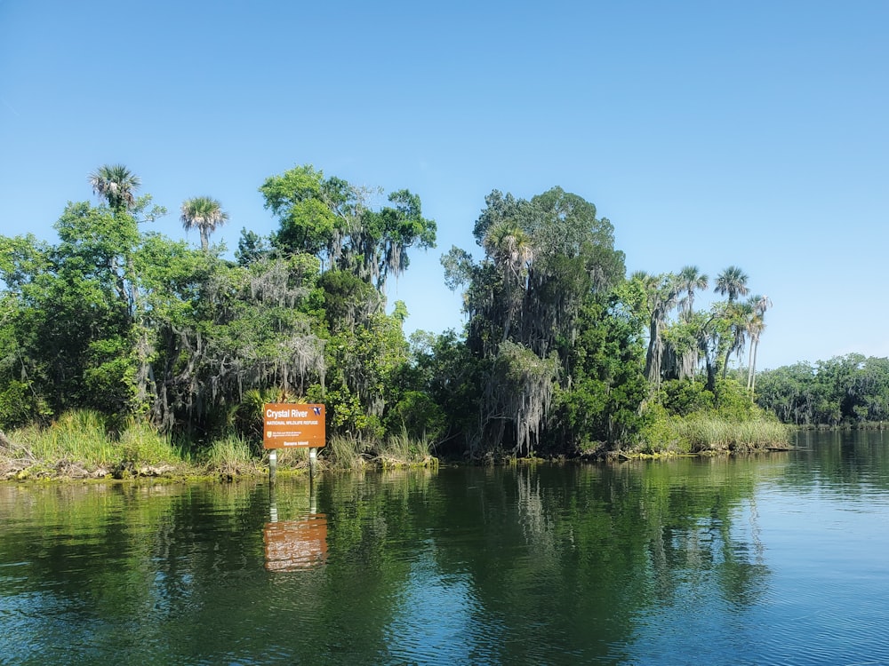 a body of water with trees around it