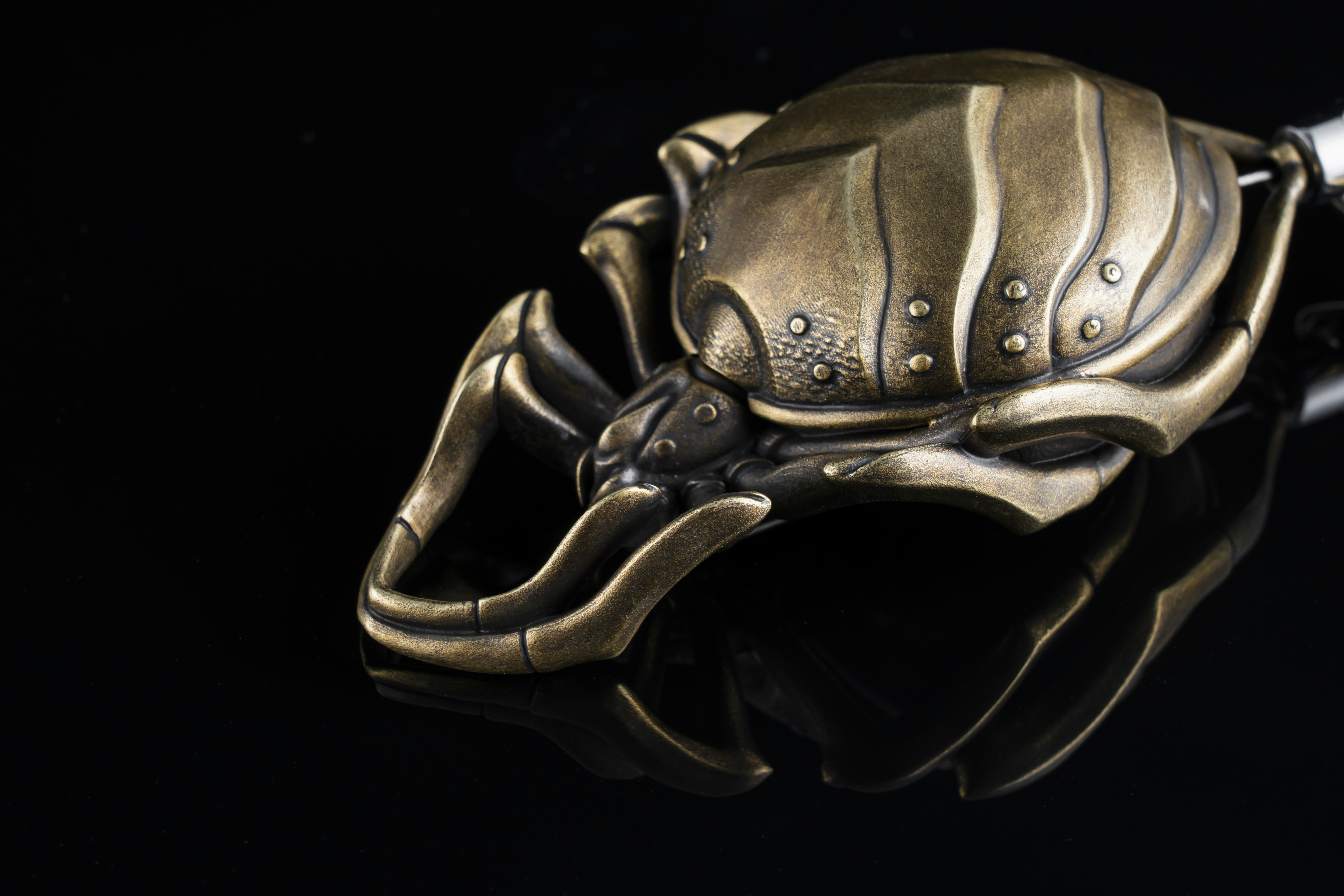 Photo by coppertistwu