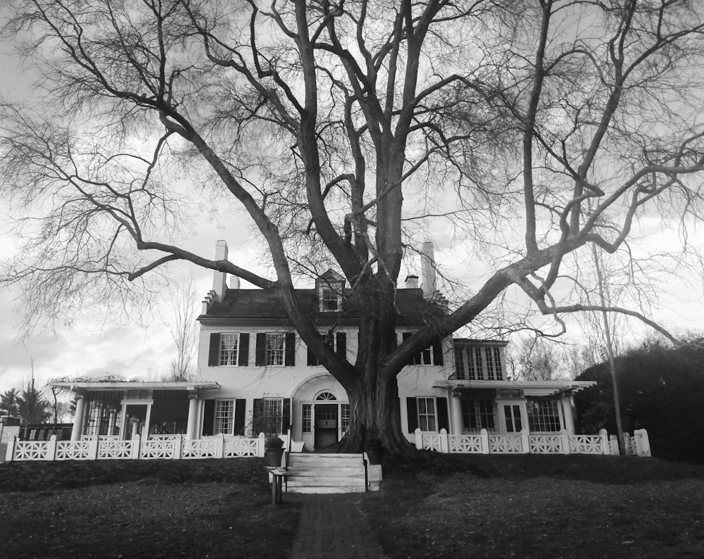 a large tree in front of a house