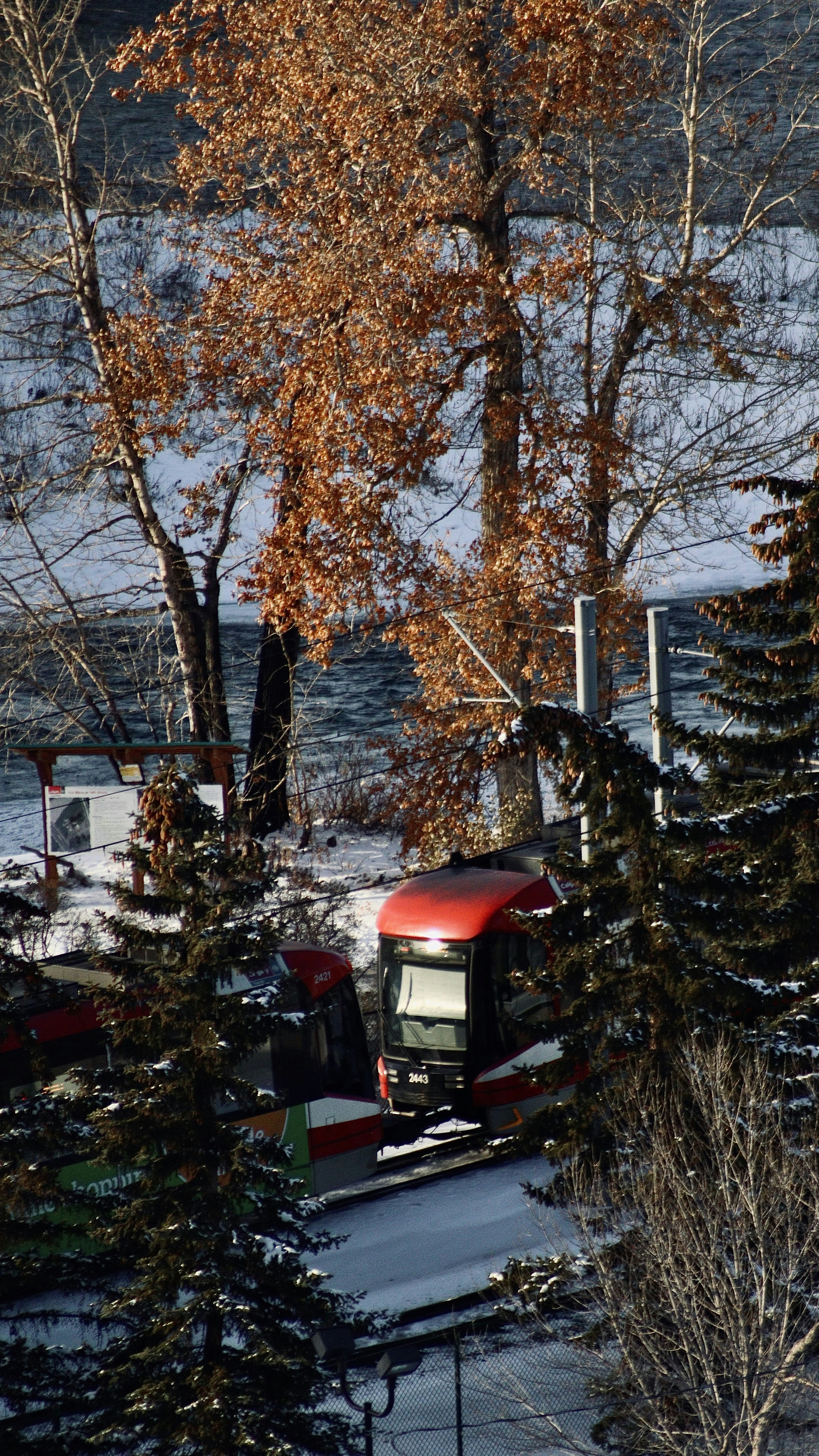 Photo by sangam_sharma