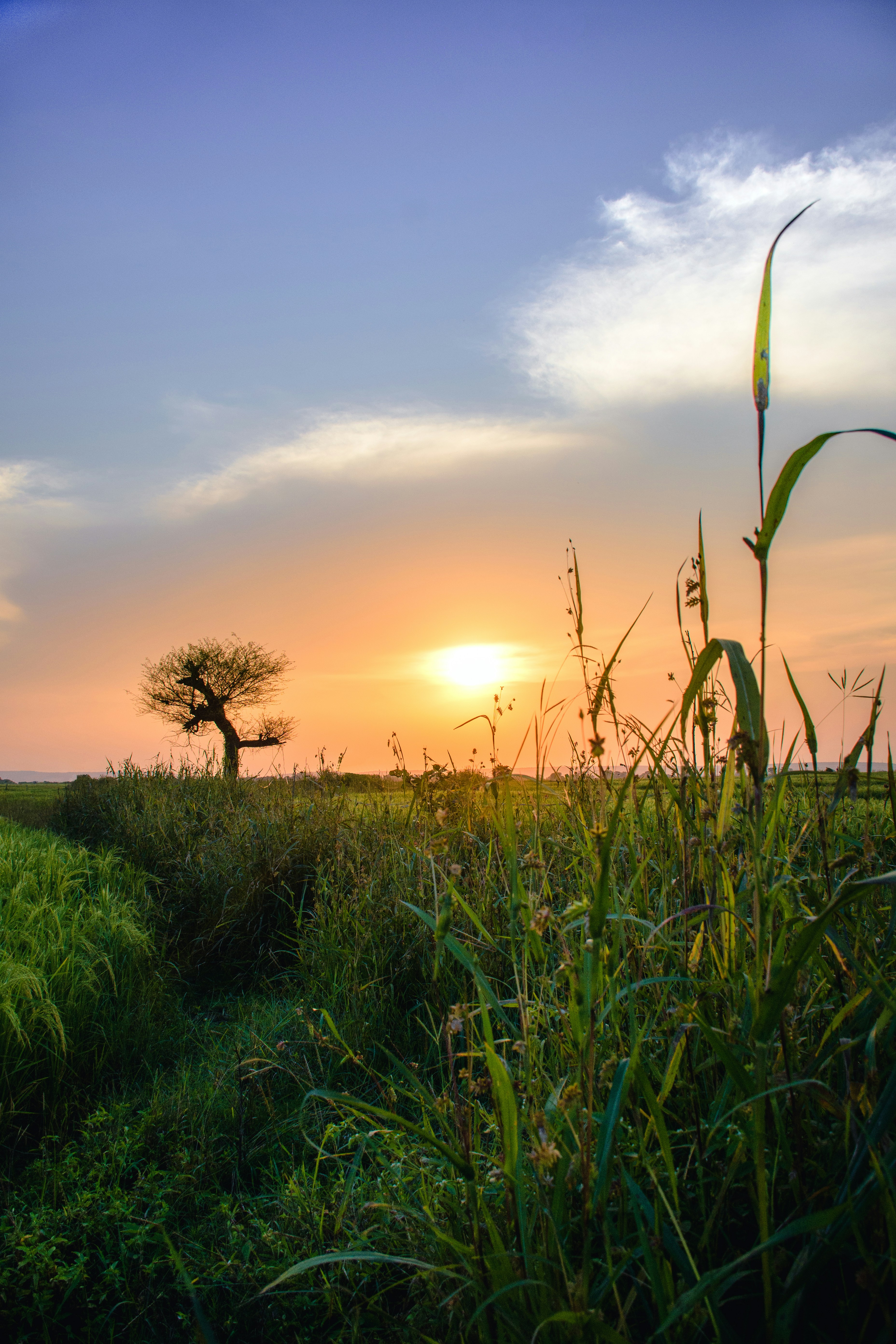 Photo by ashish_joseph07