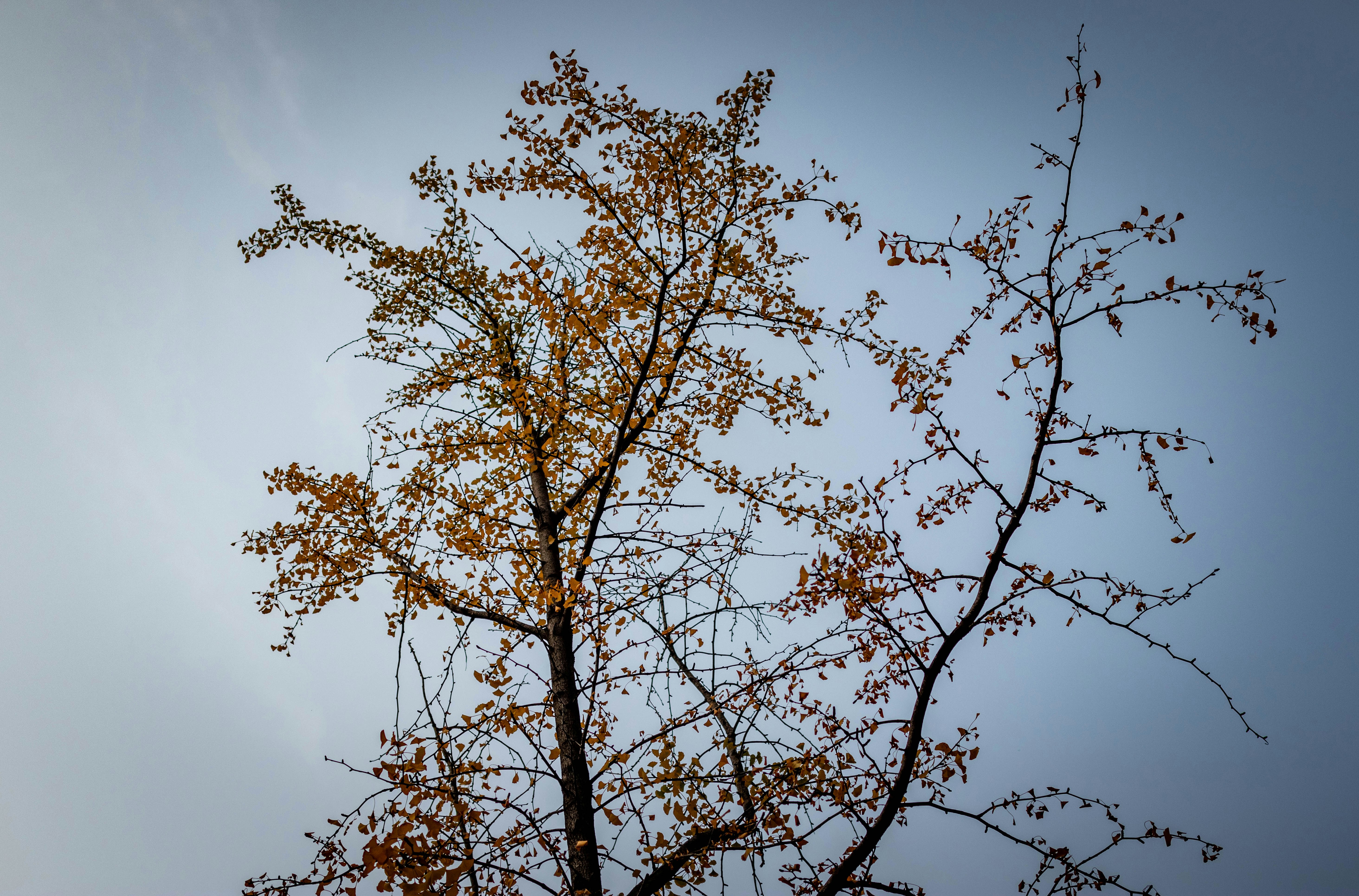 Photo by glcbrg