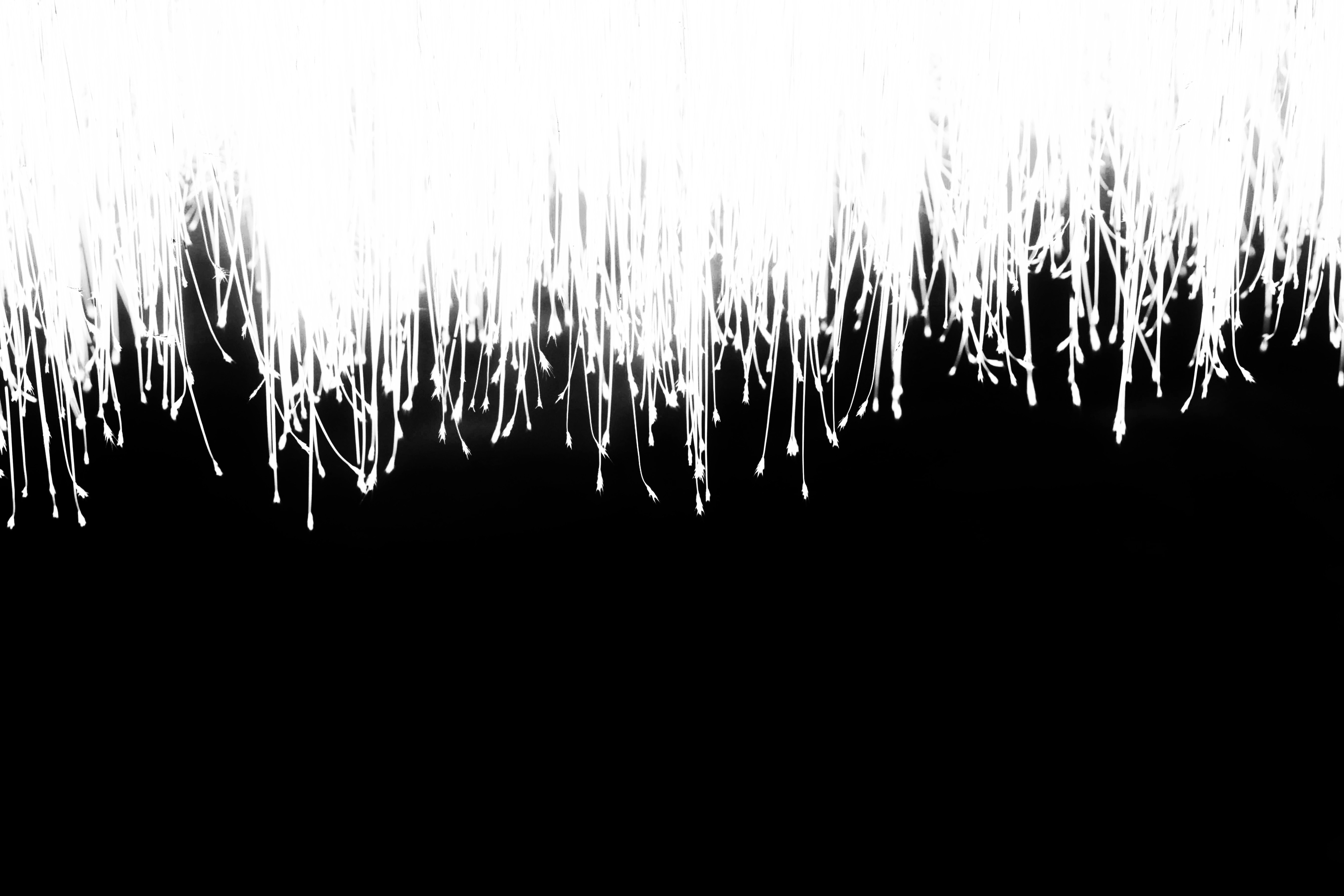 Image de Les meilleures sorties électro fin décembre 2025 à ne pas manquer