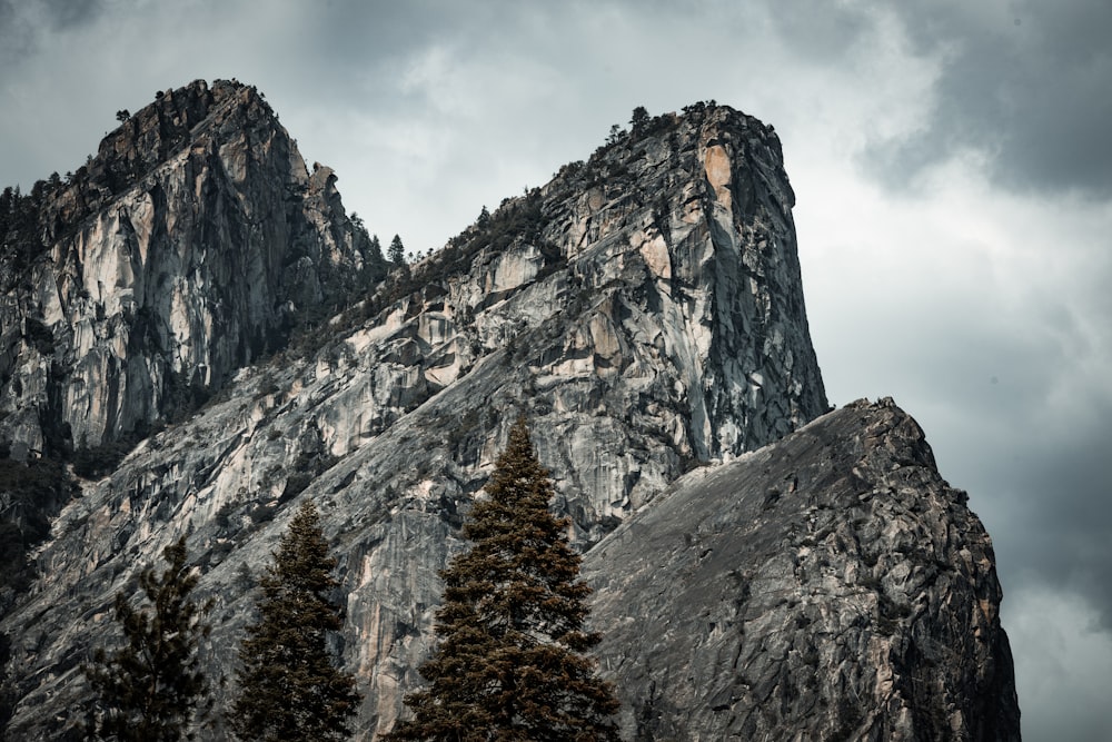 a mountain with trees on it