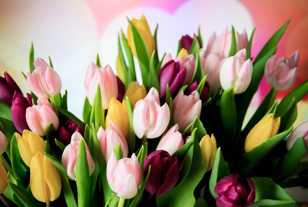 a bouquet of colorful flowers