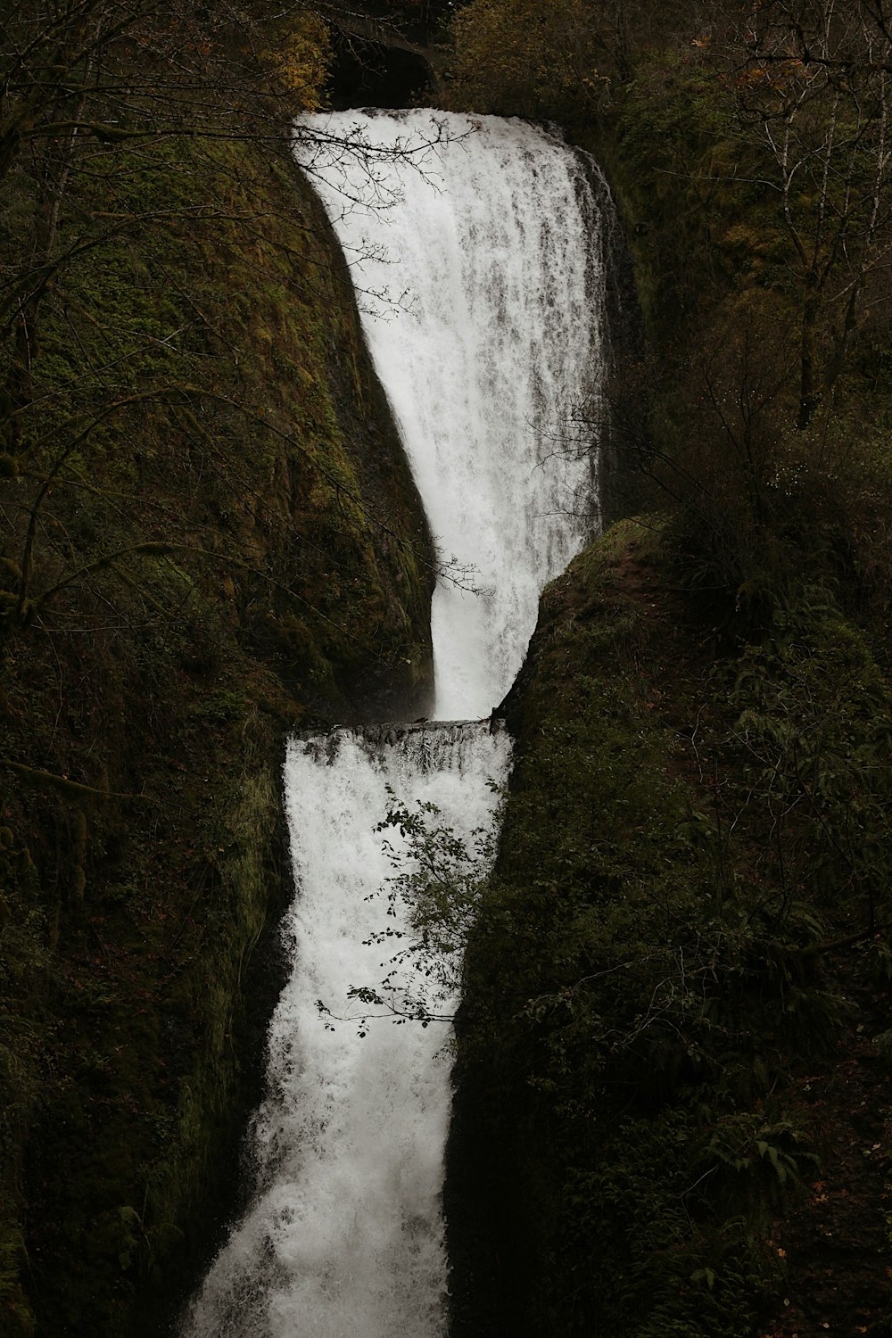 a waterfall in a forest