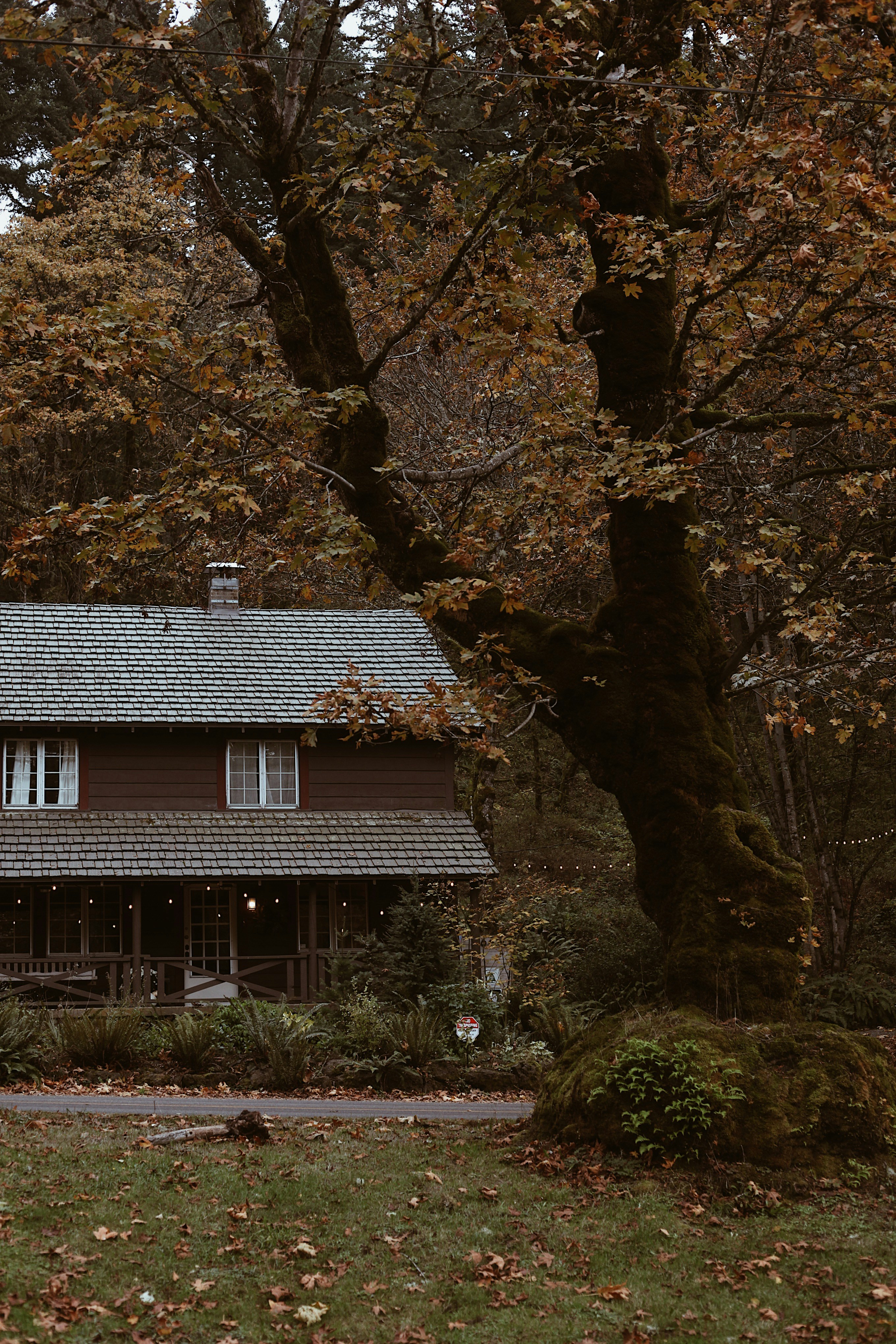 Photo by earthtokarly