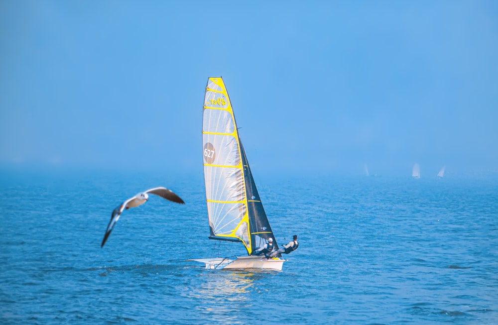 a bird flying over a sailboat