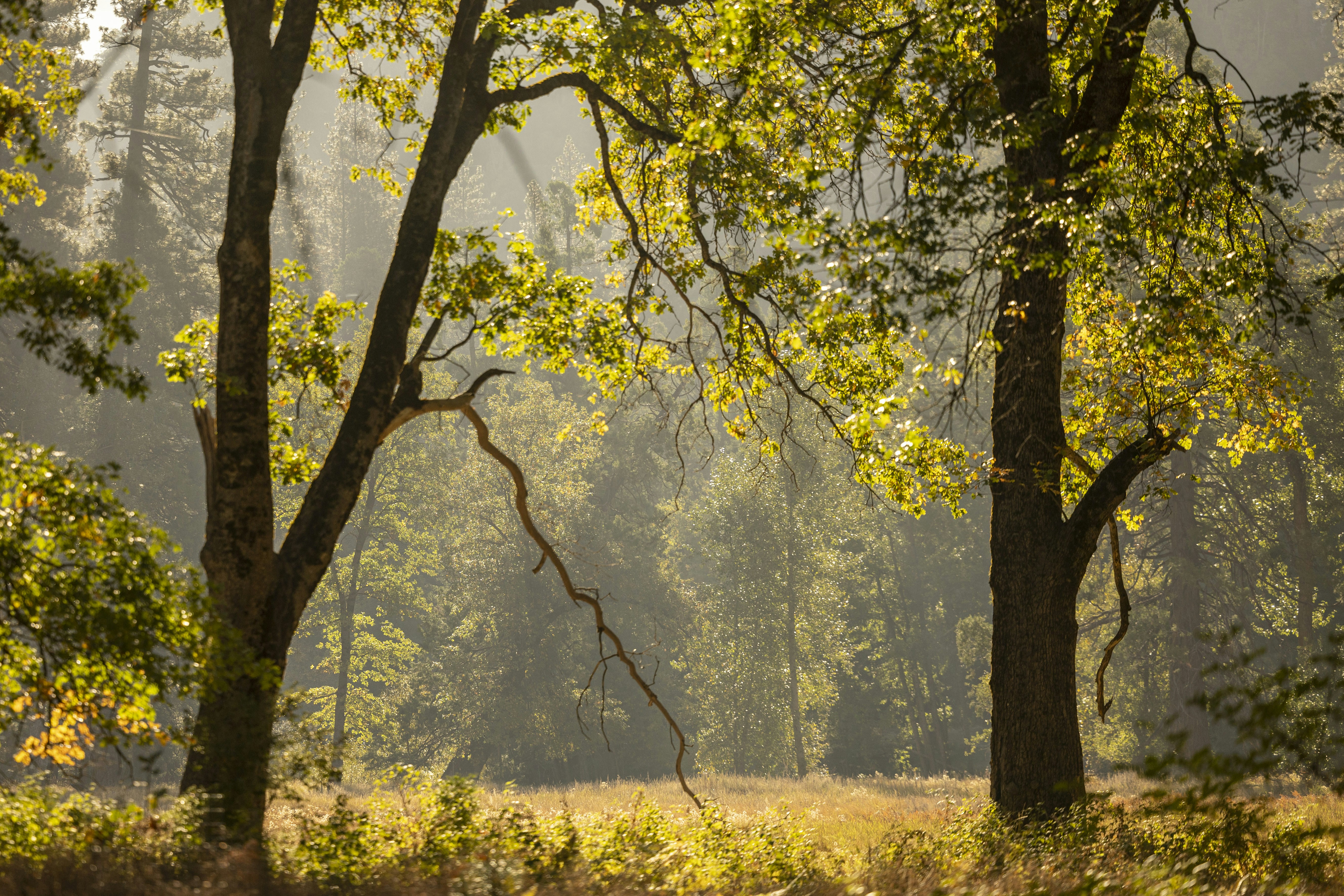 Photo by leo_visions_