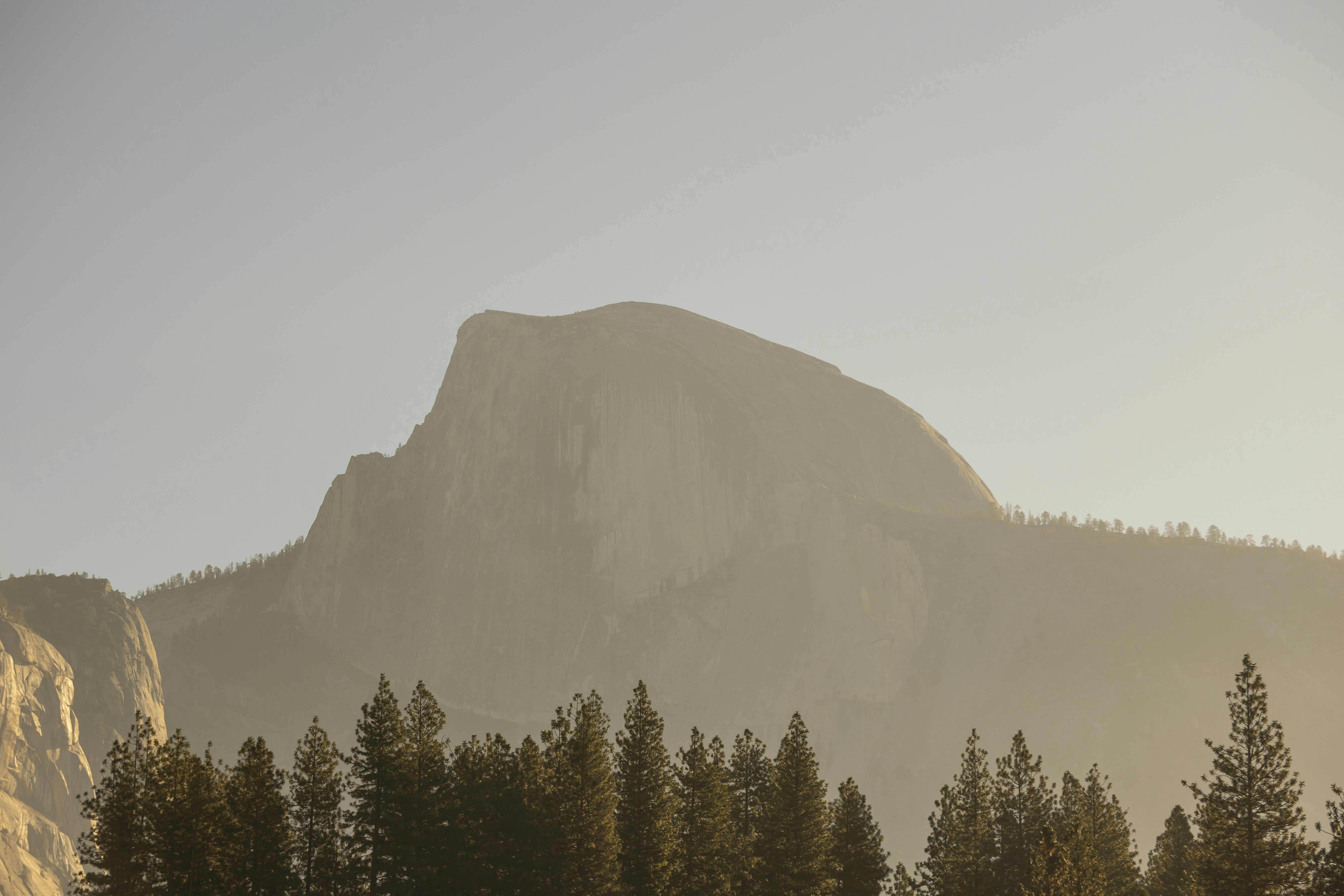 Photo by leo_visions_