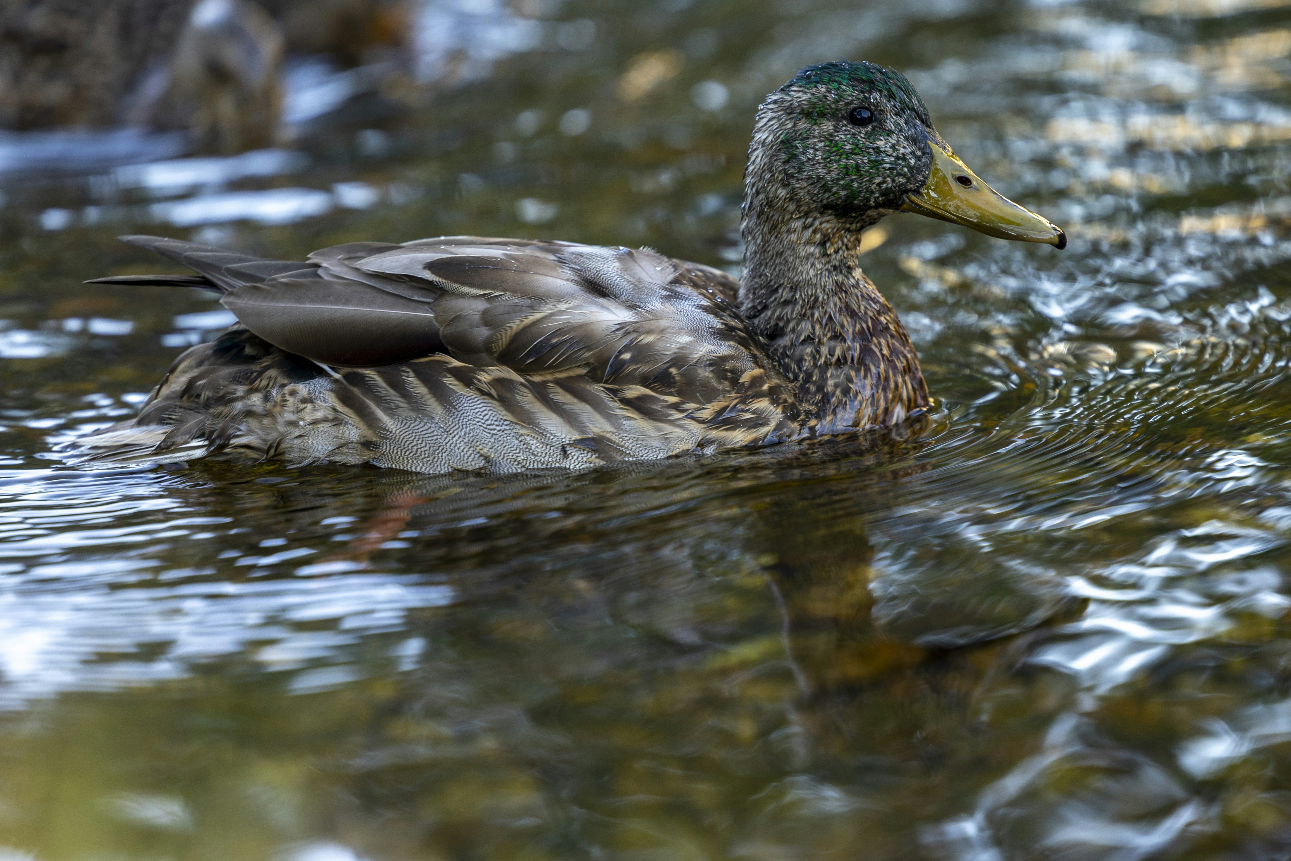 Photo by leo_visions_