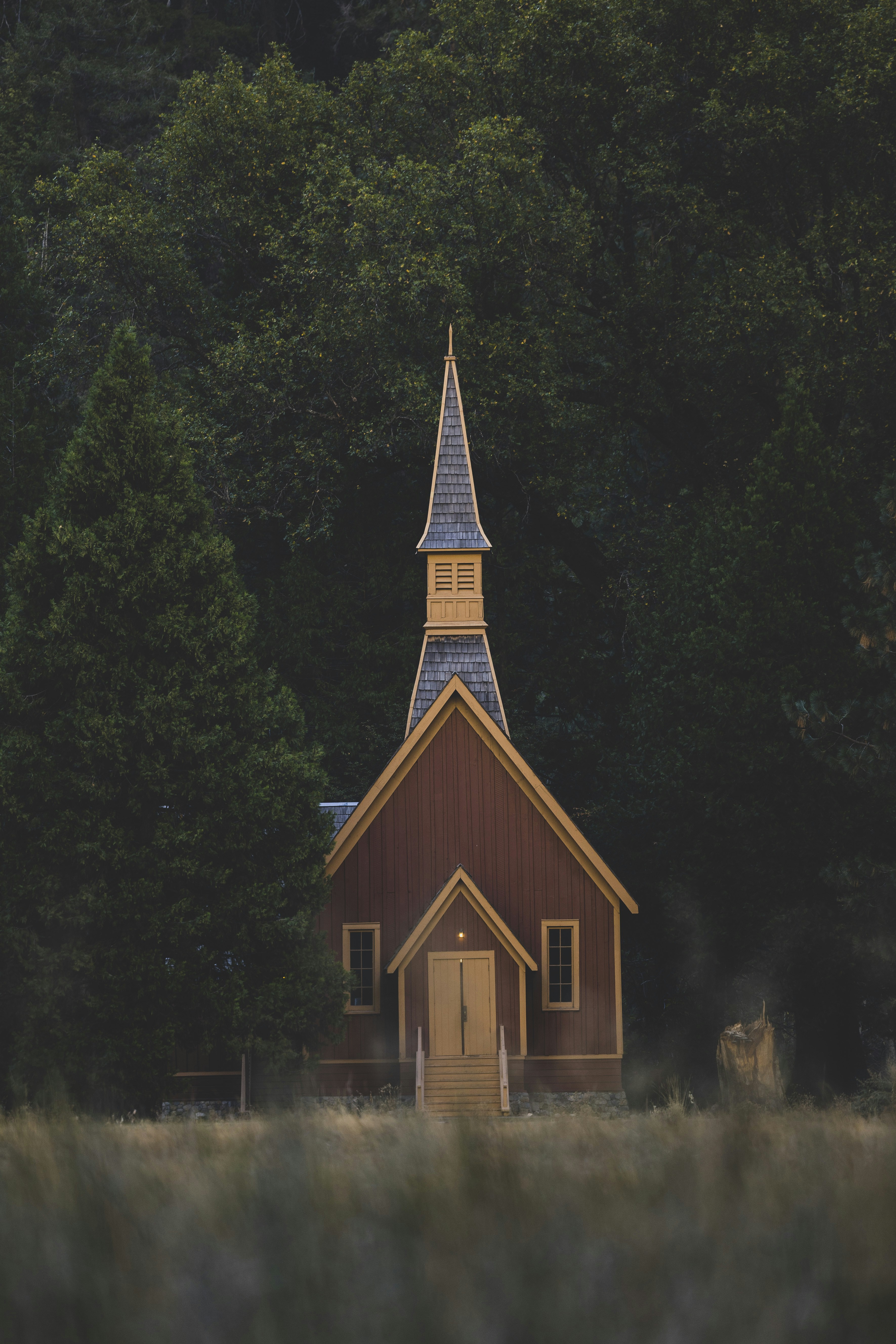 Photo by leo_visions_