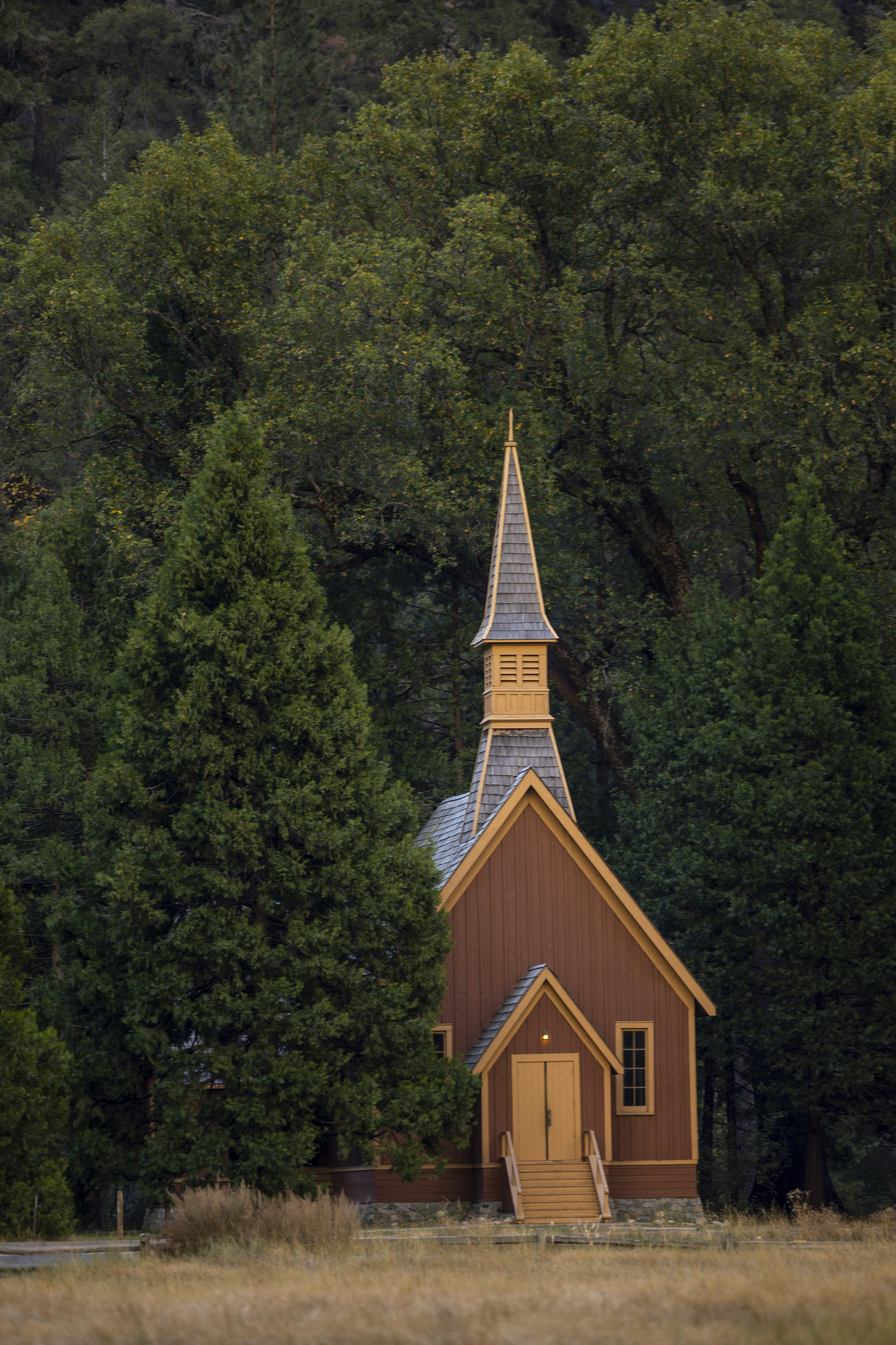 Photo by leo_visions_