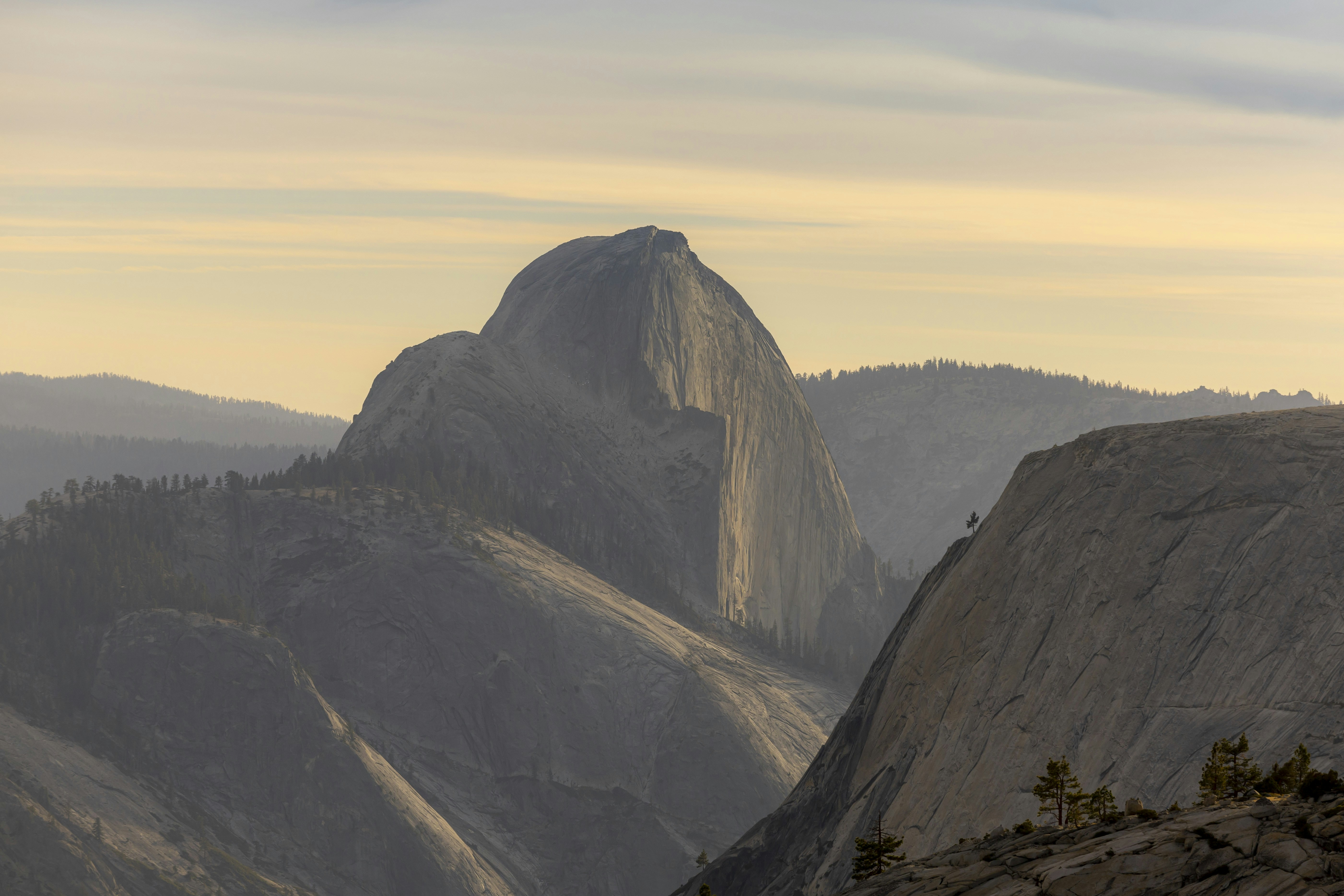 Photo by leo_visions_