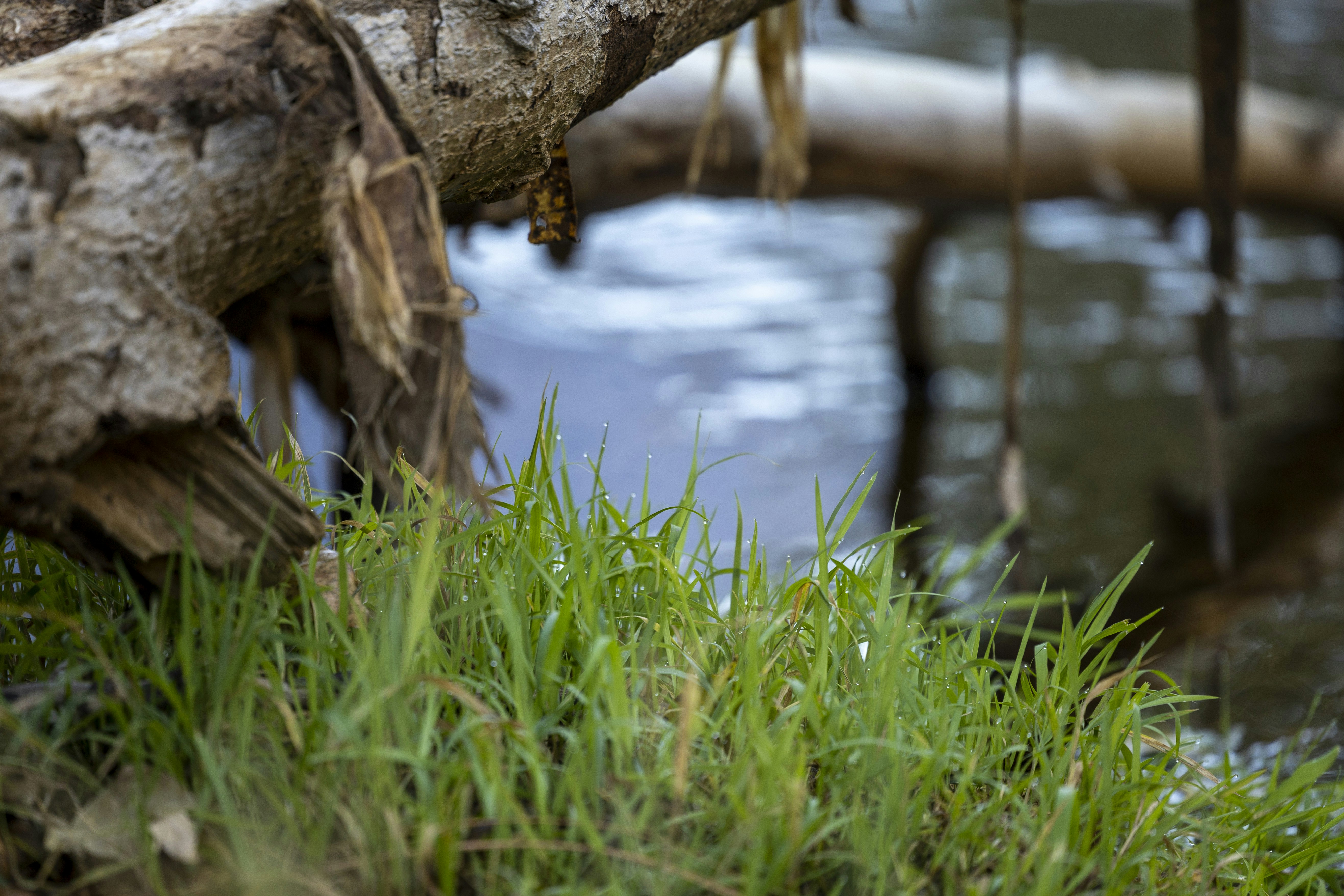 Photo by leo_visions_