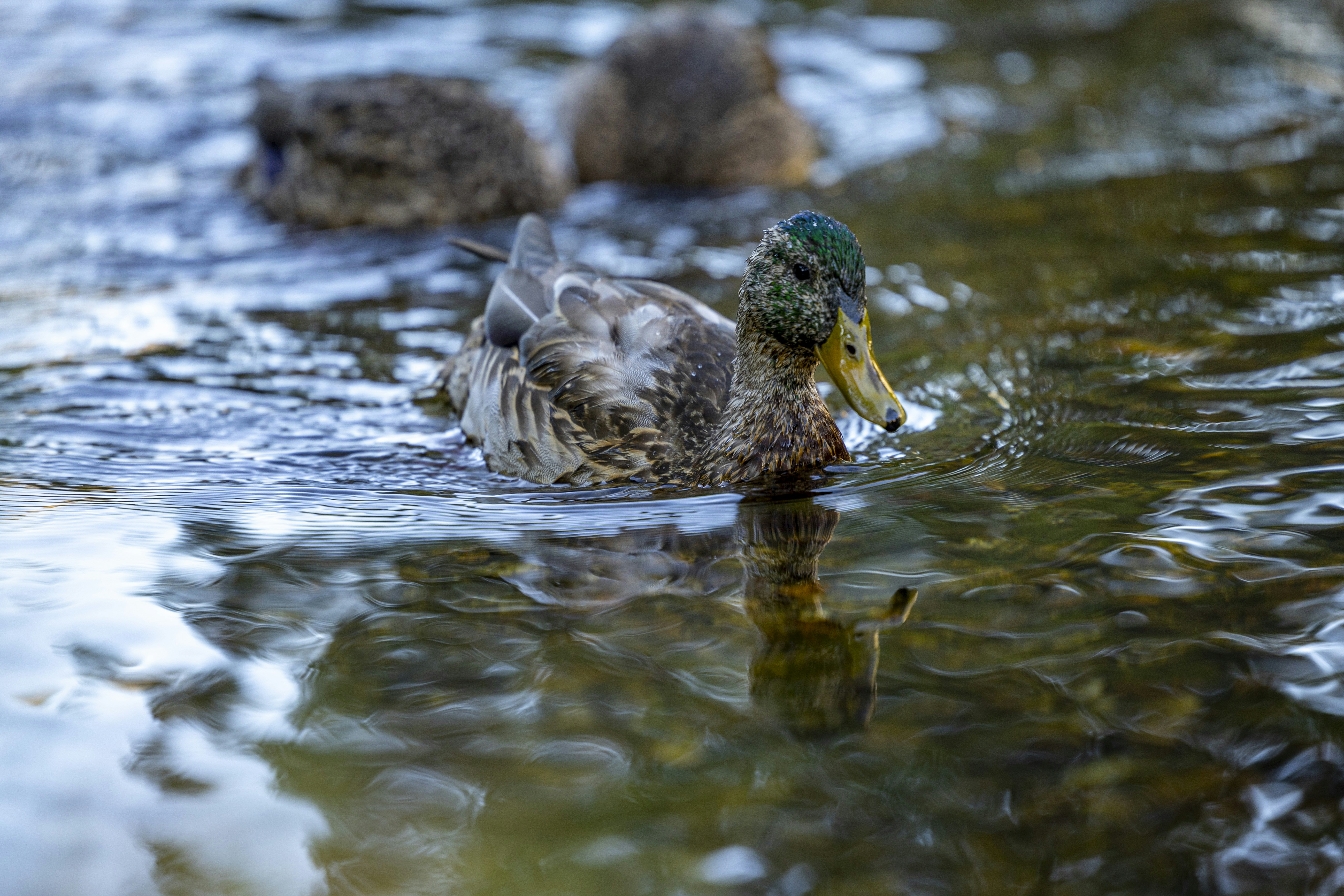 Photo by leo_visions_