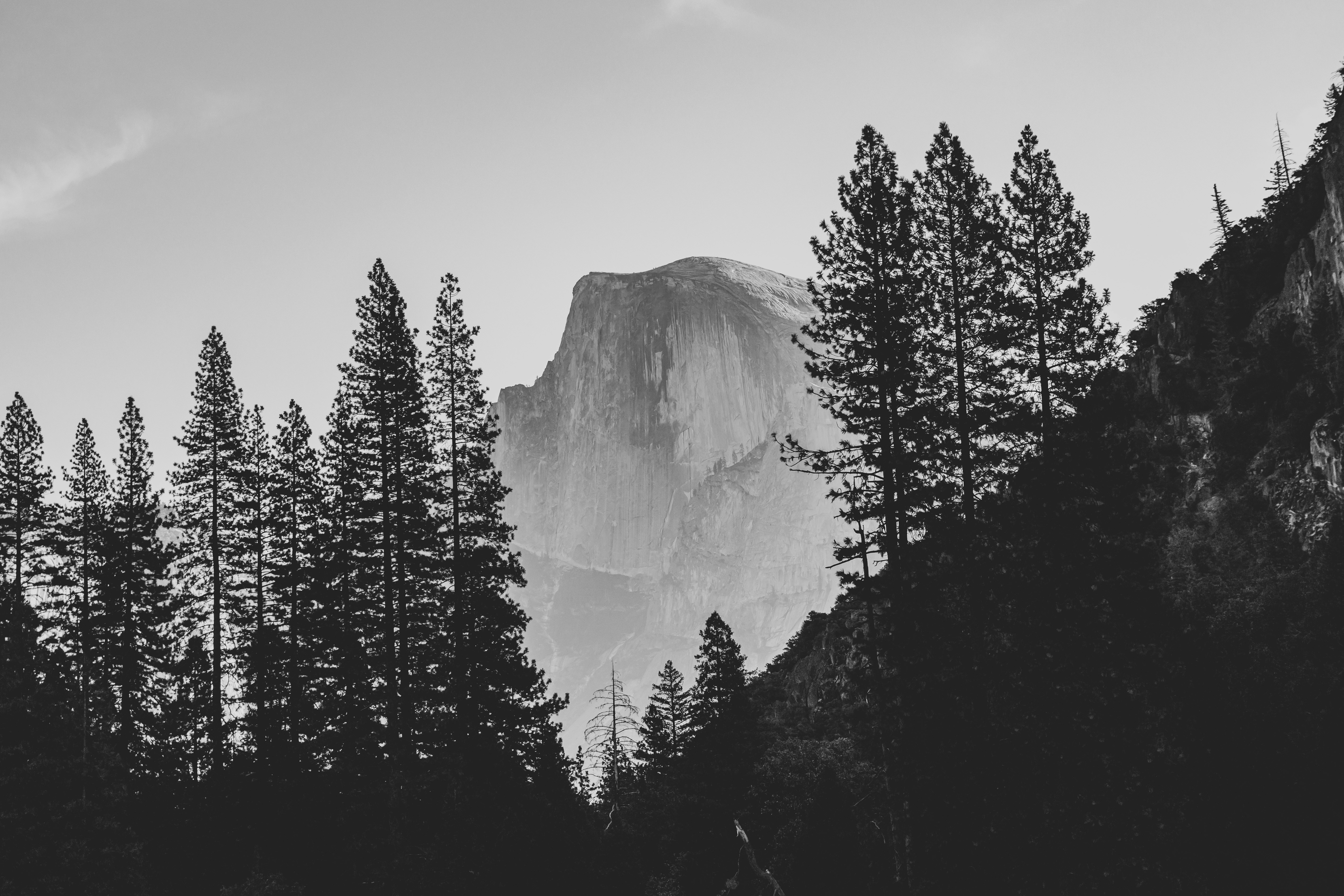 Photo by leo_visions_