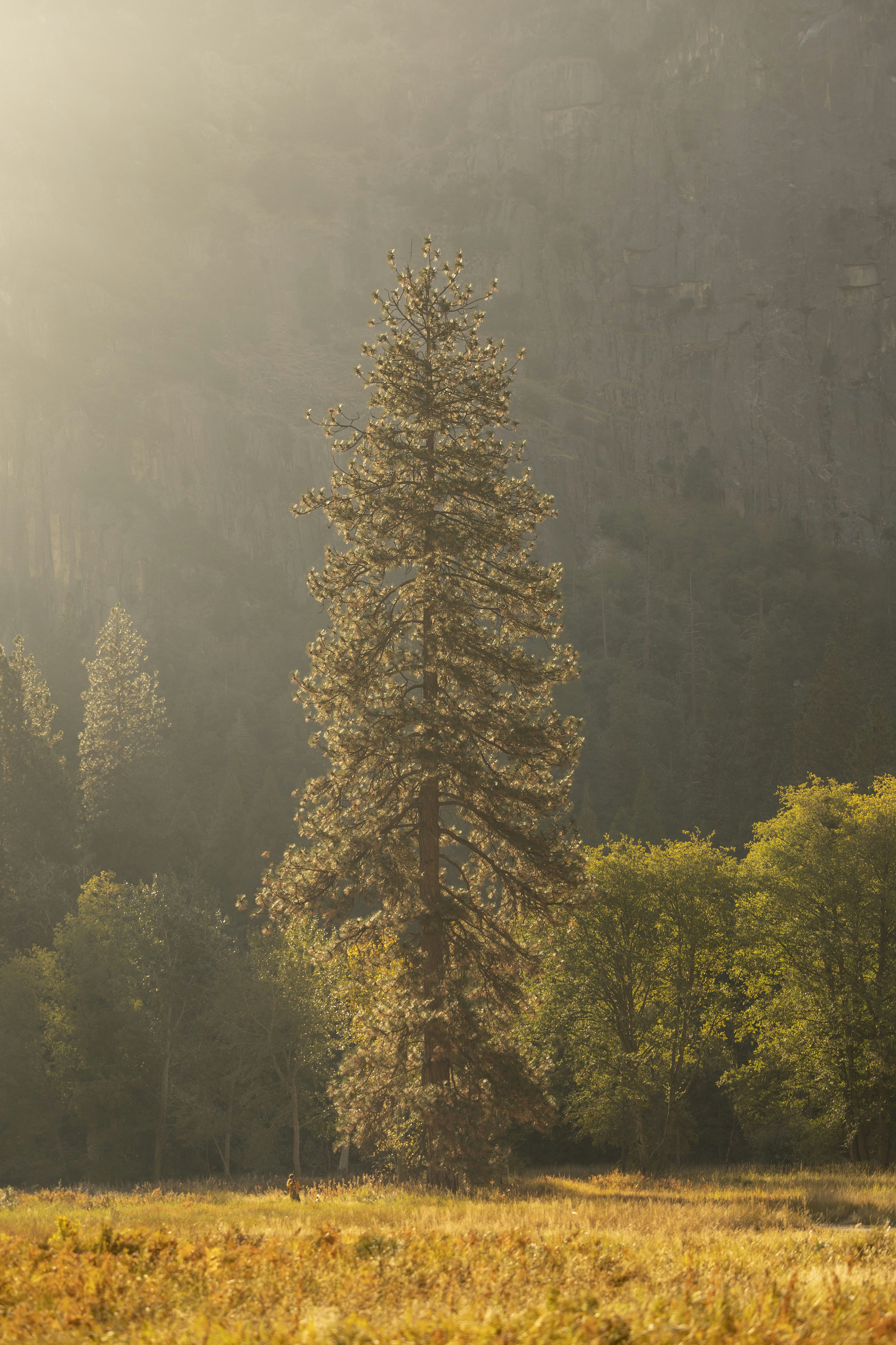 Photo by leo_visions_