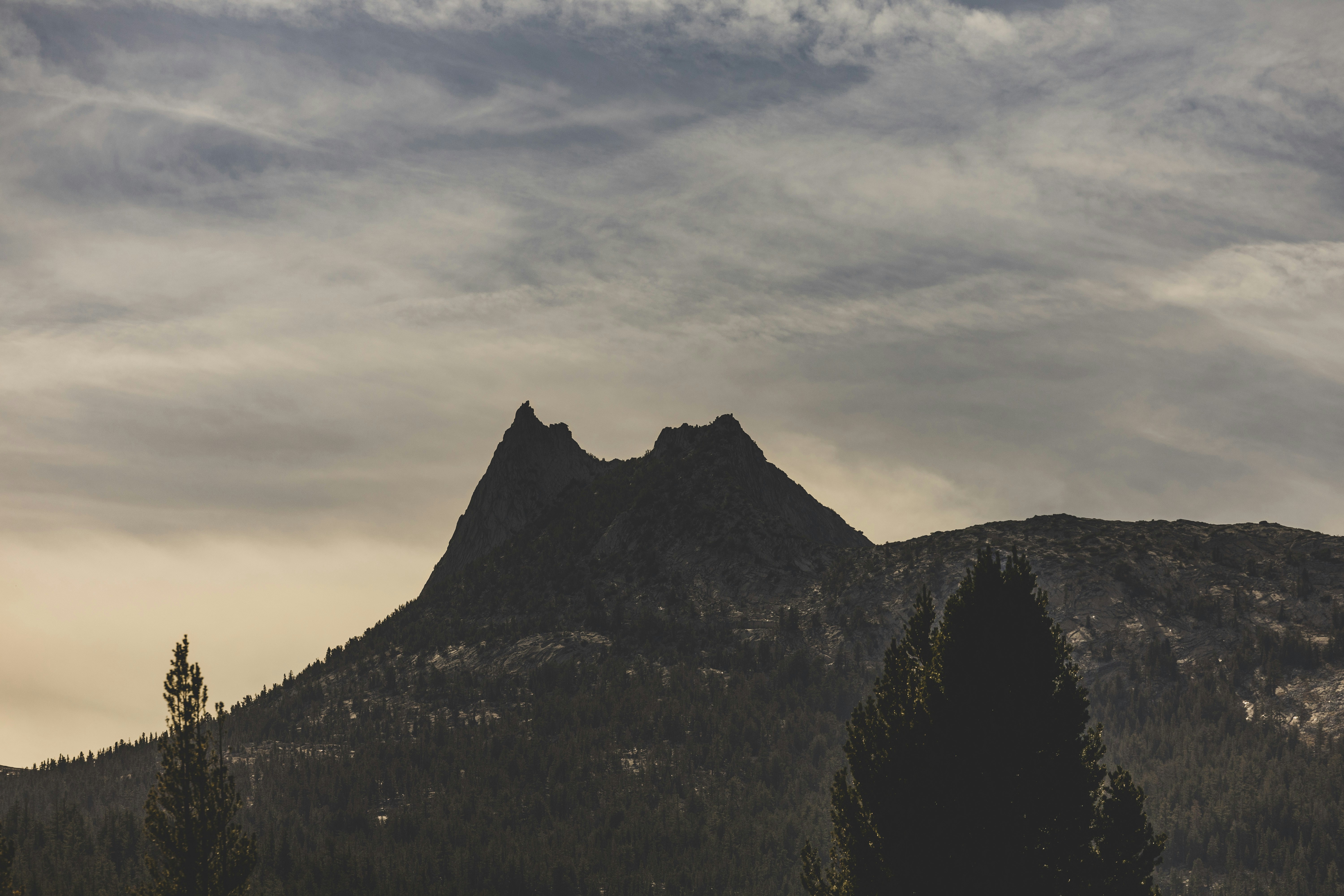 Photo by leo_visions_