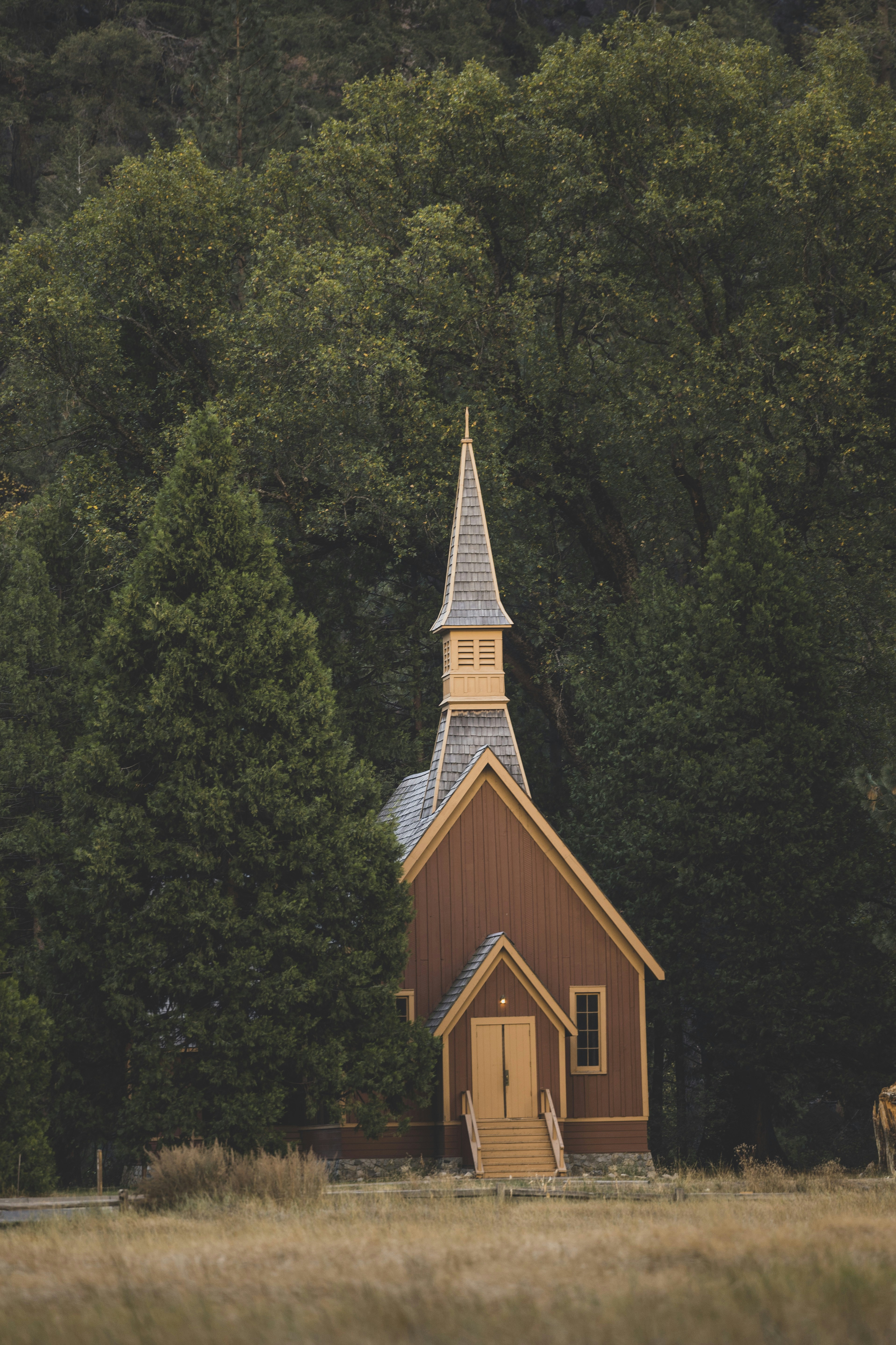 Photo by leo_visions_